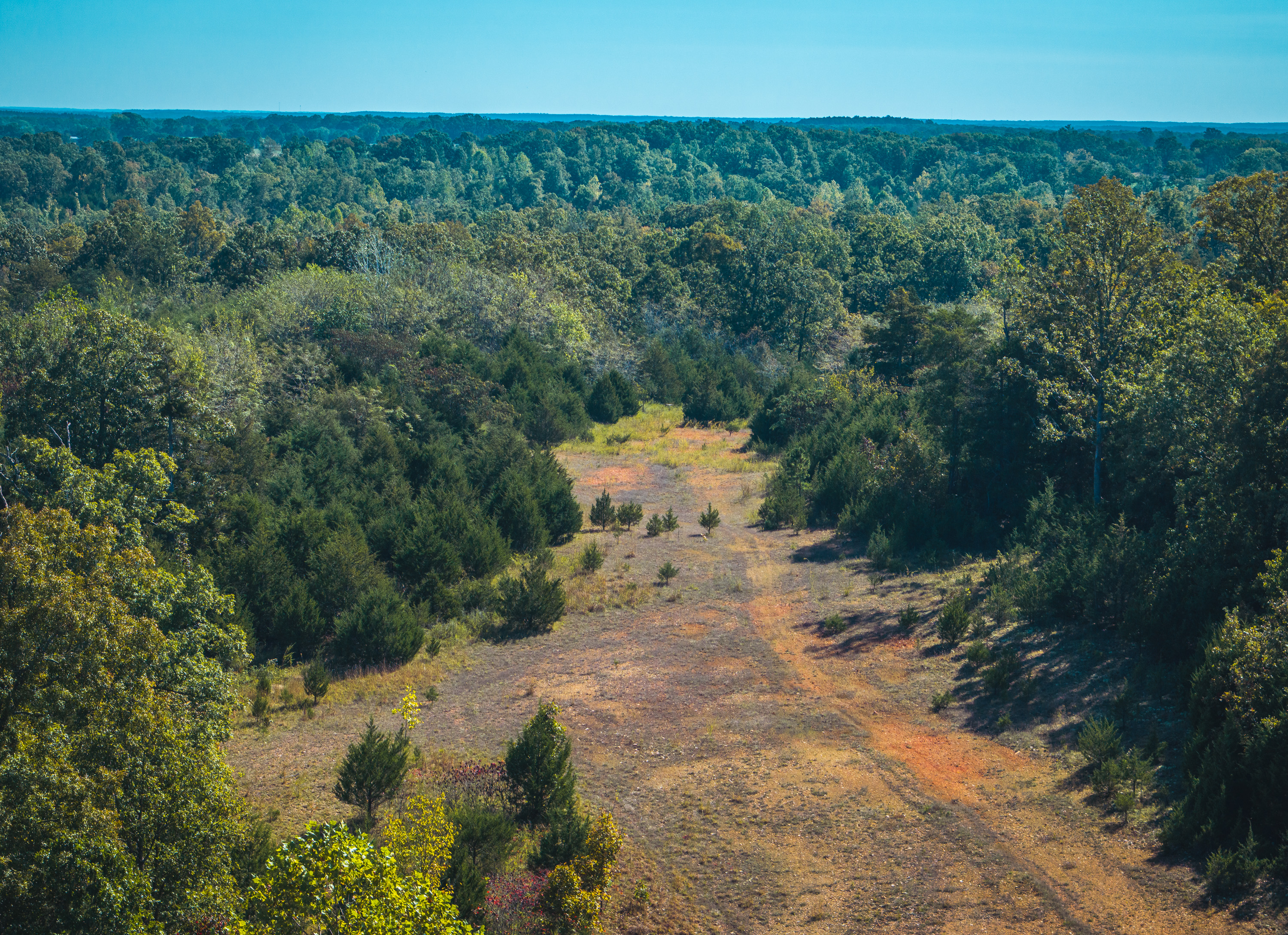 Listing Image 24