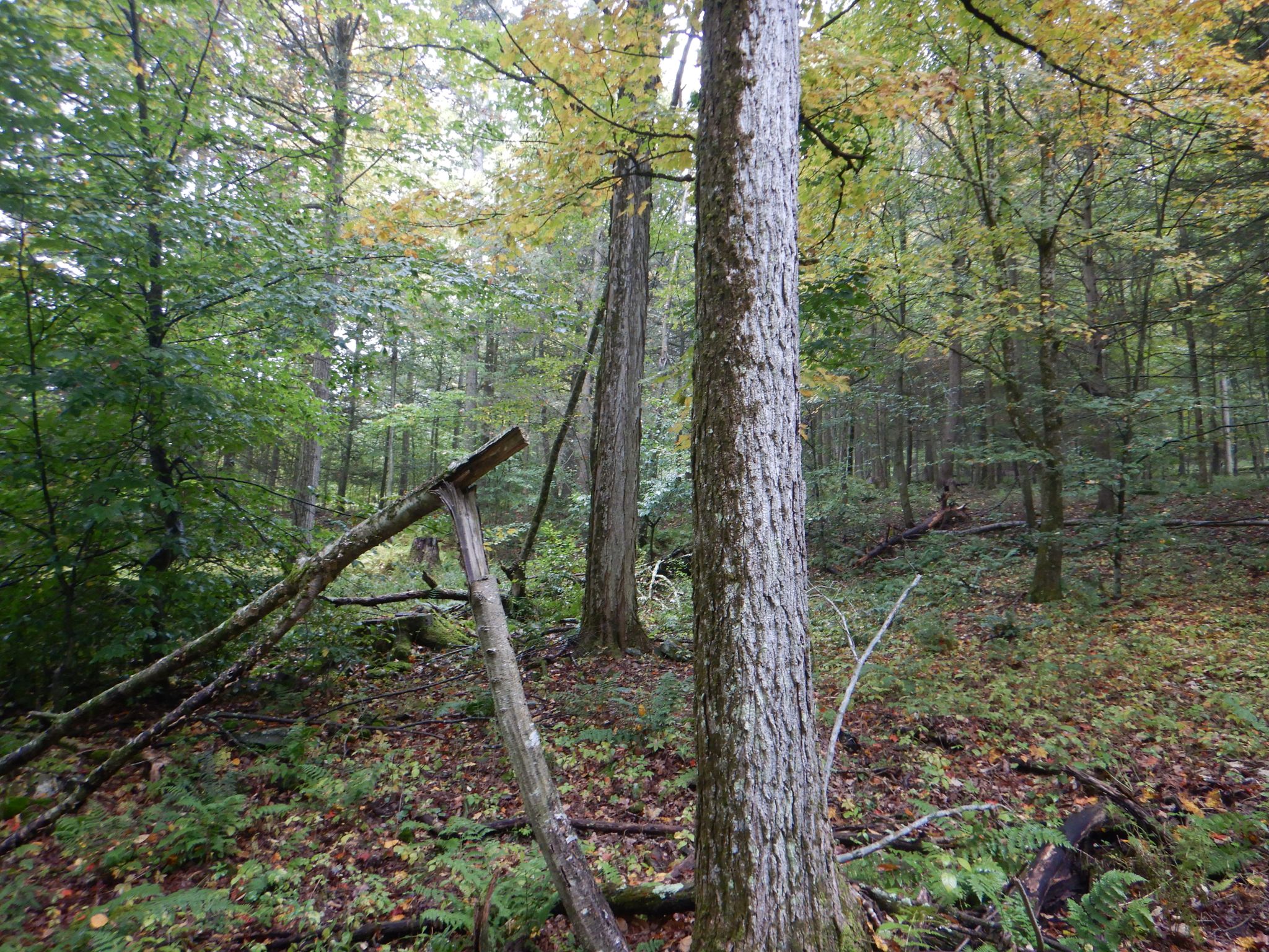 Listing Image 33