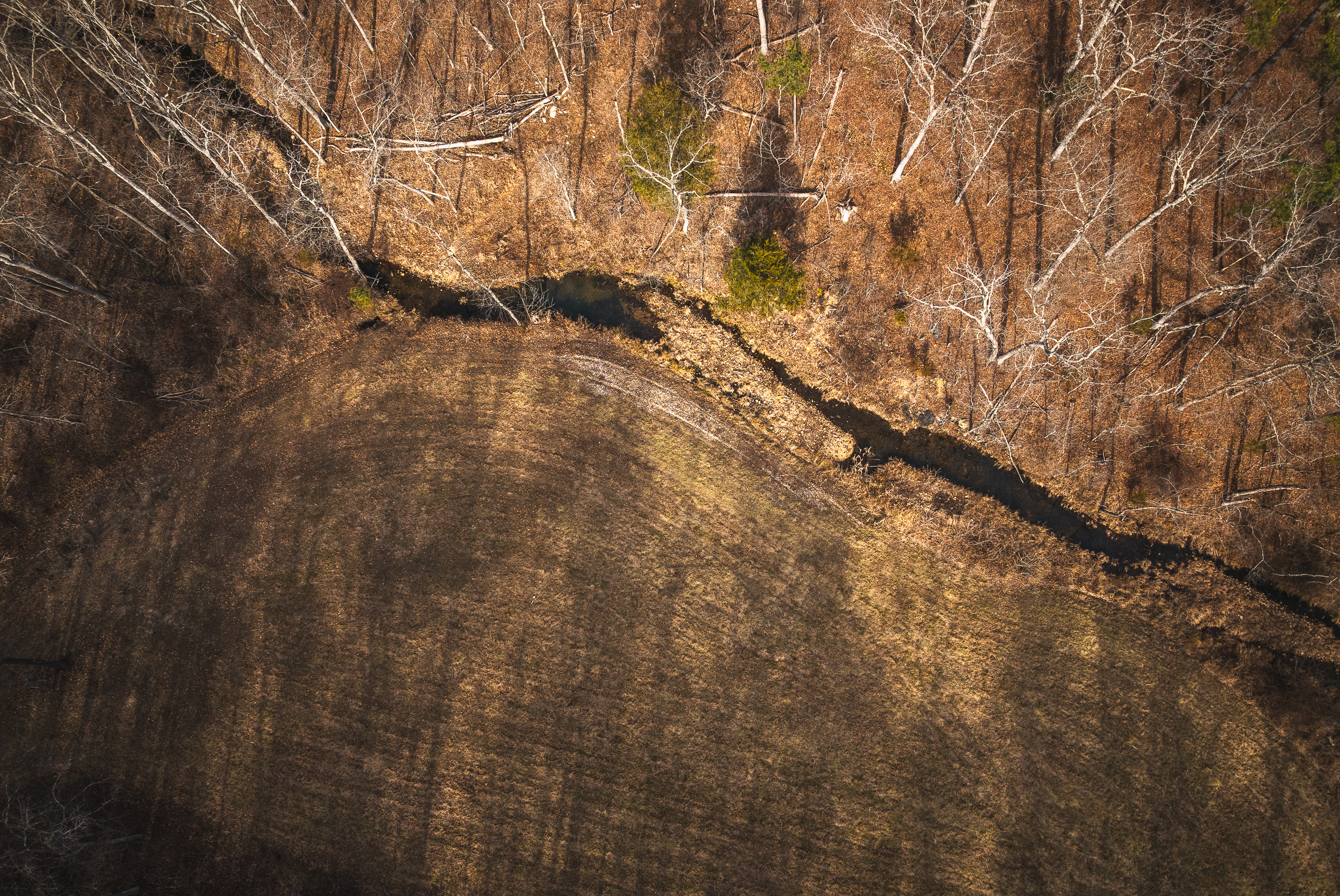 Curly Hole Camp at Peterball Spring