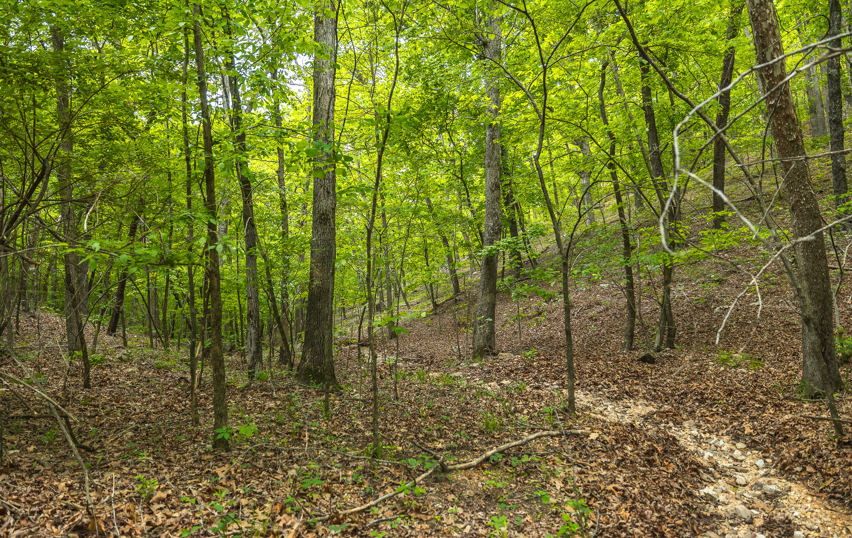 Waters Edge on the Gasconade River Tract 1