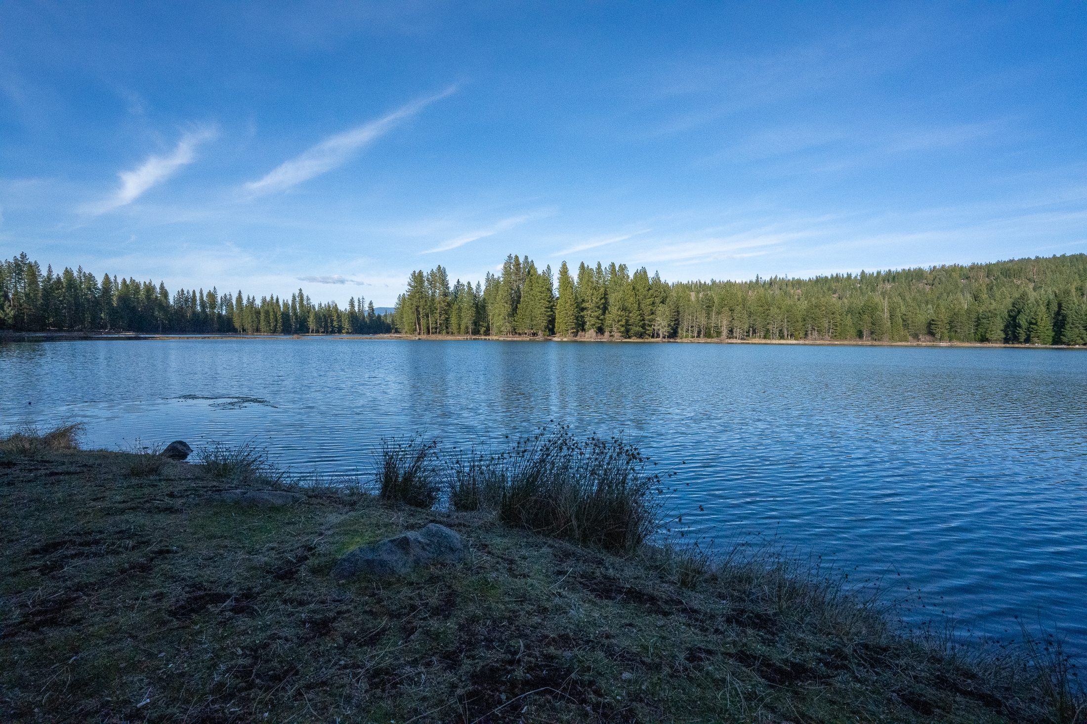 Medco Pond- Recreational Retreat
