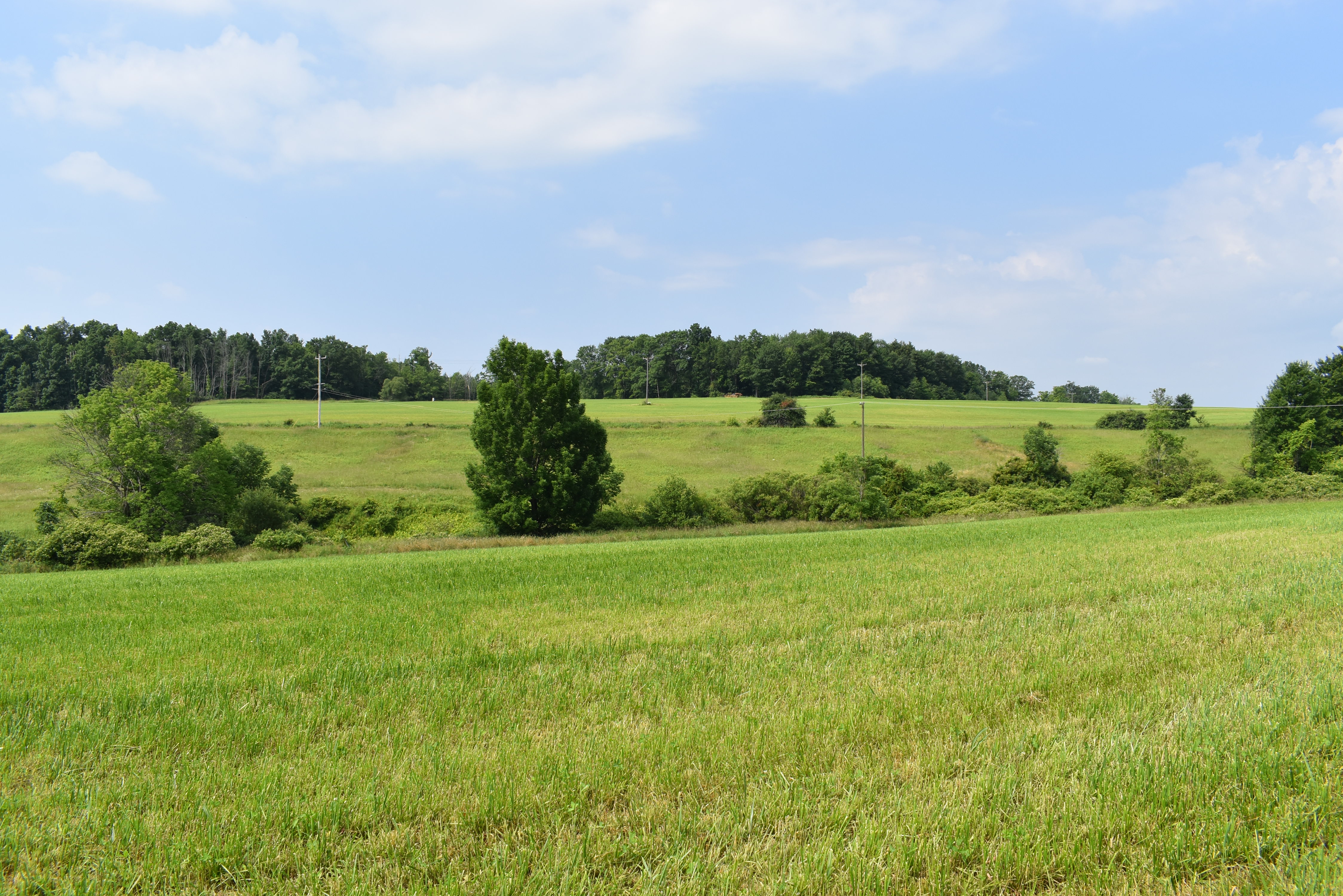 Listing Image 79