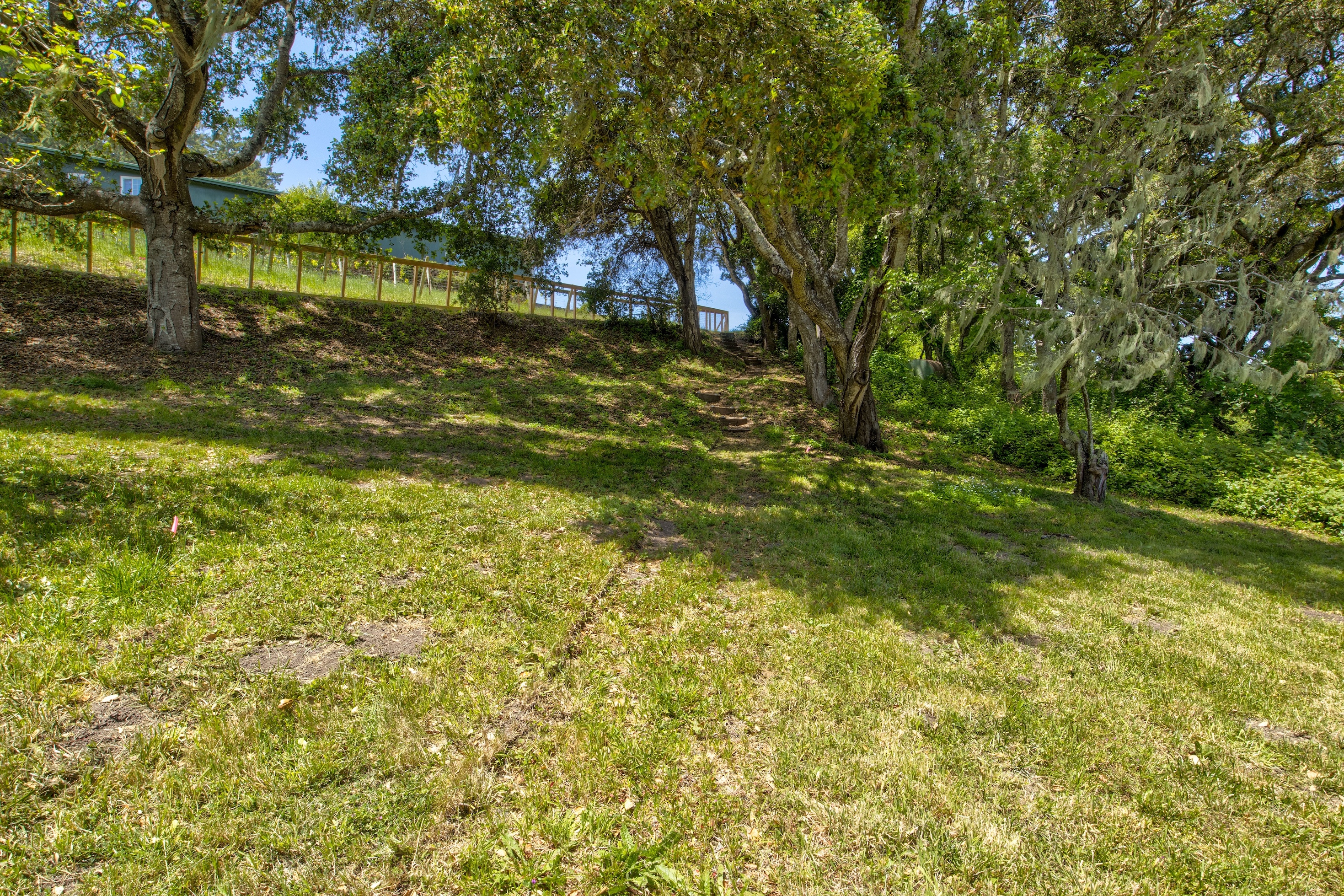 San Gregorio Creekside Farm