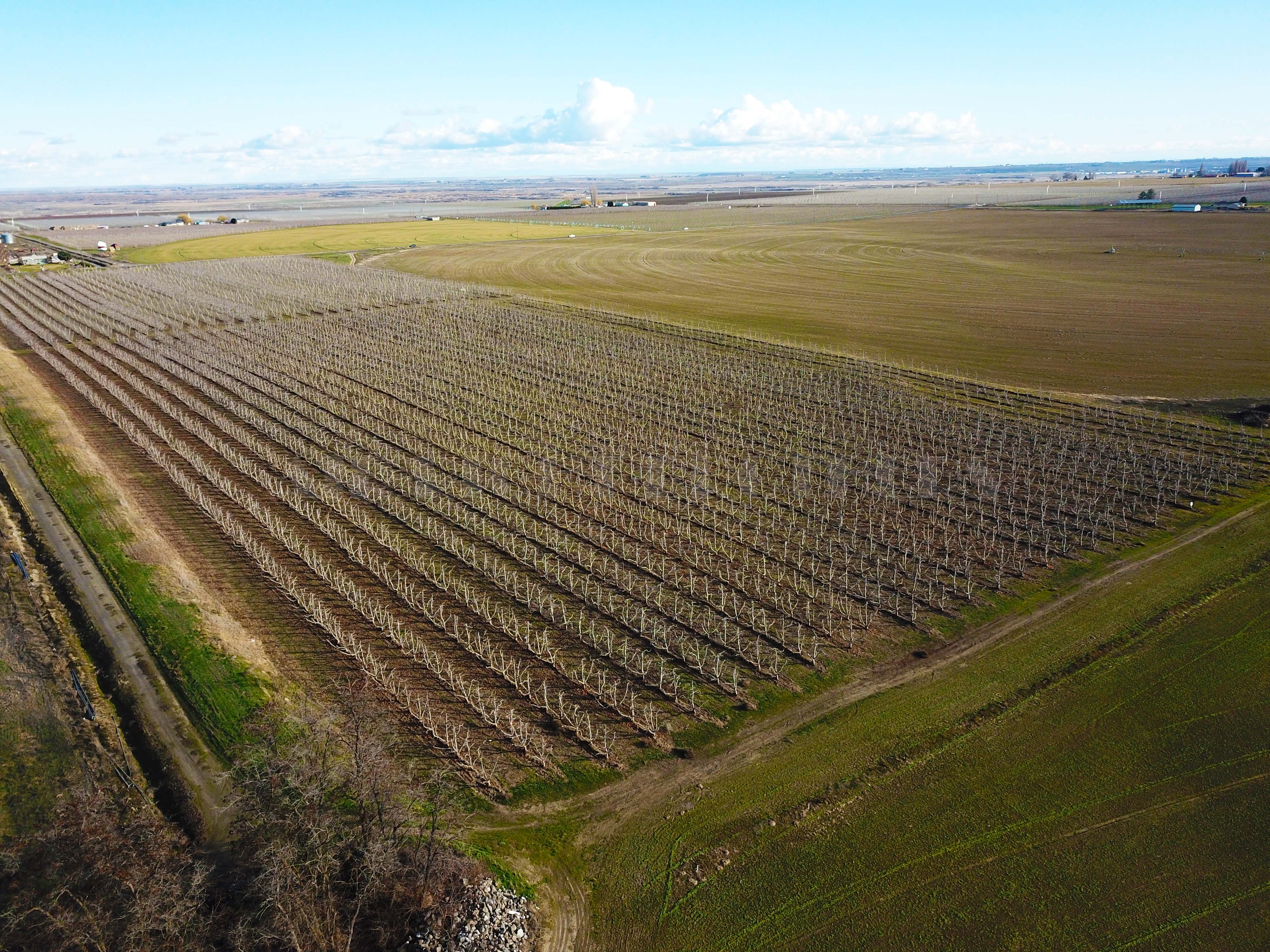 Fern Road Irrigated farm