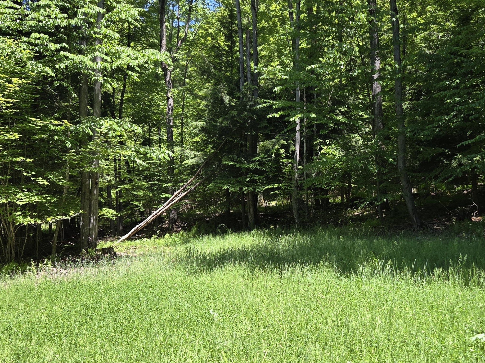 Listing Image 48