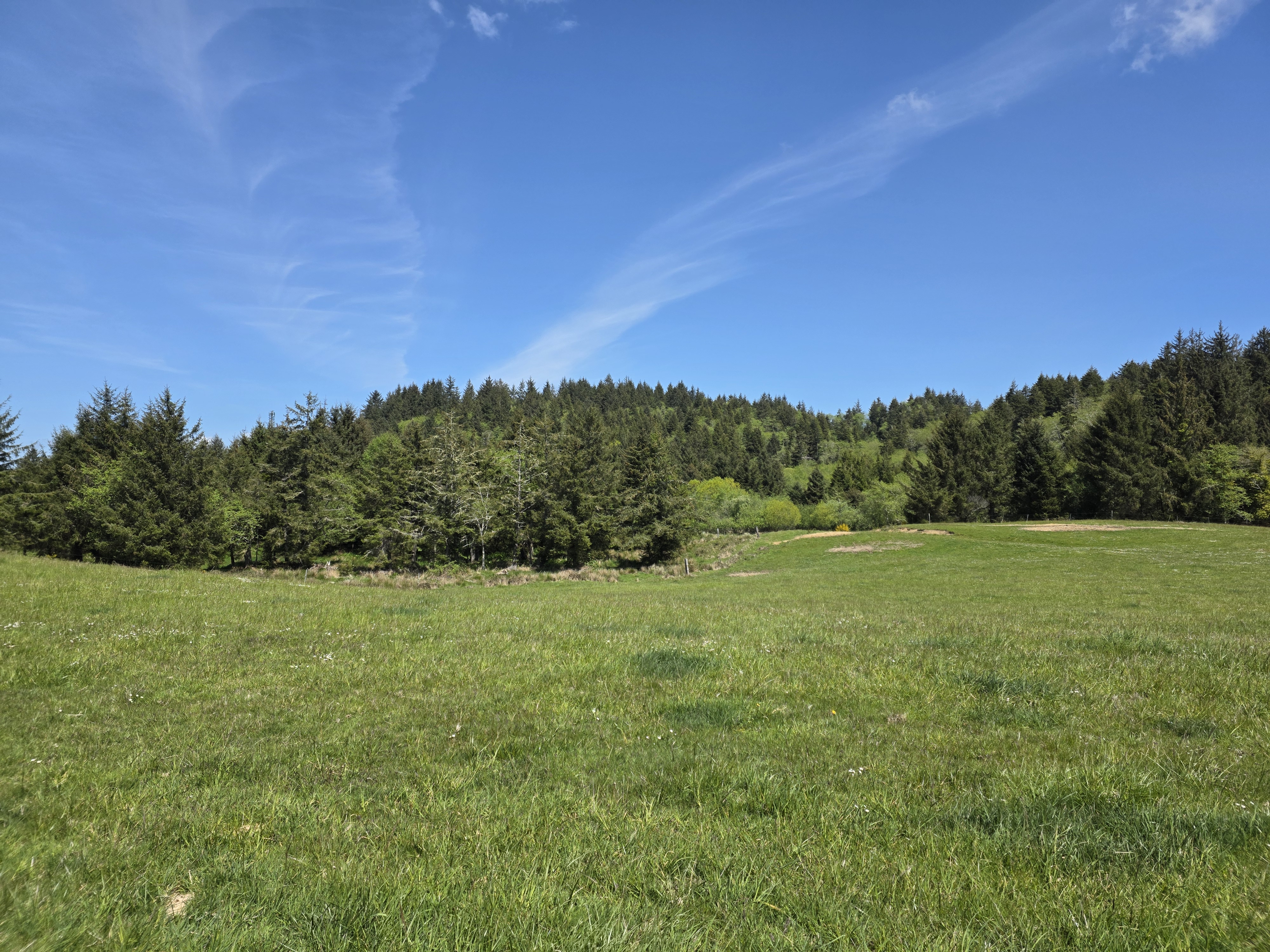 Listing Image 36