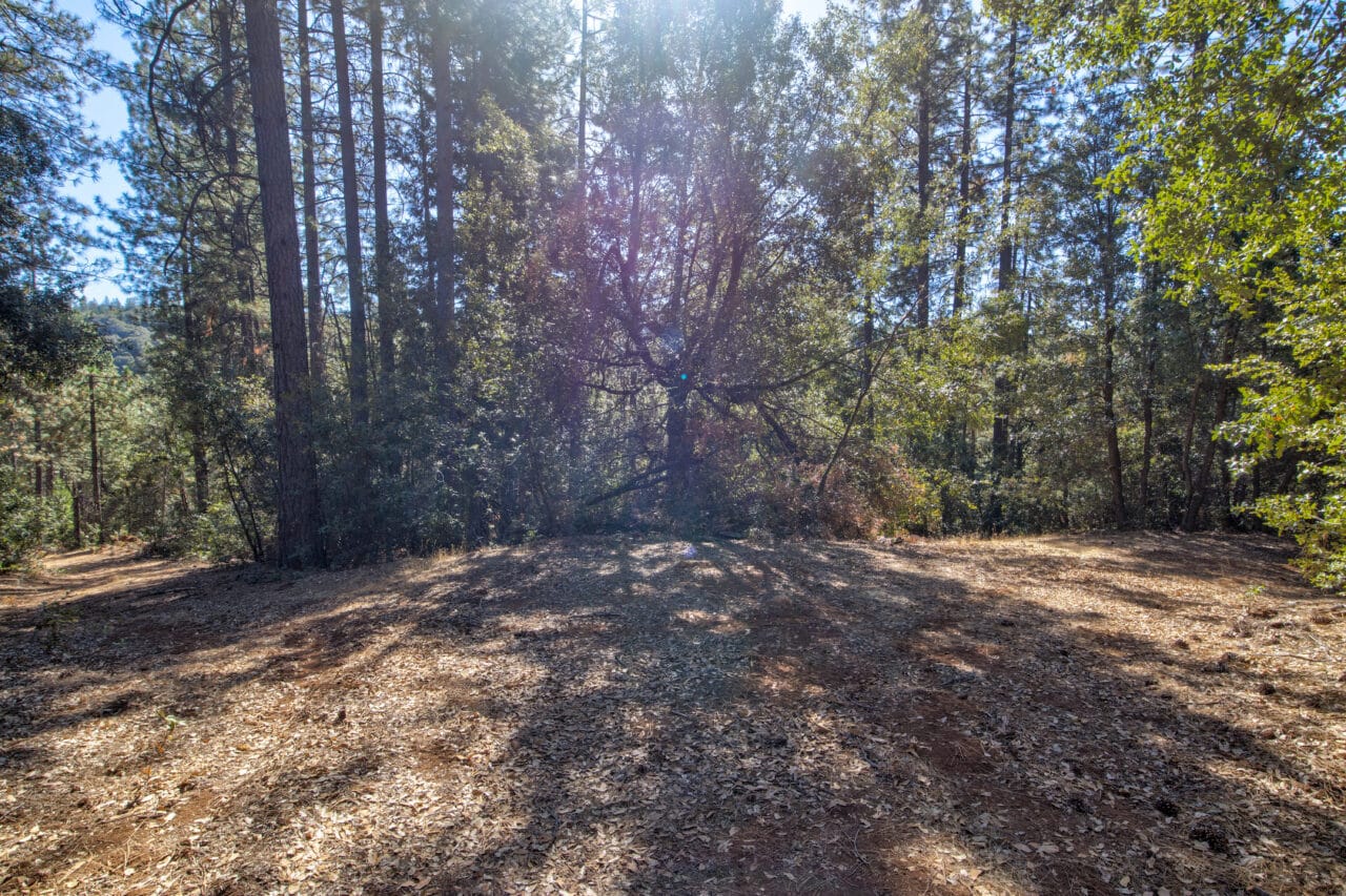Listing Image 48