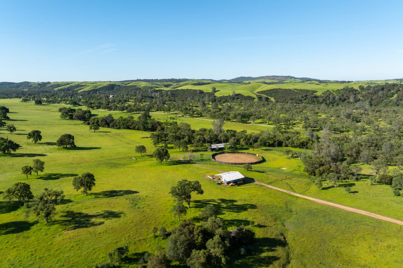 The Gann Ranch