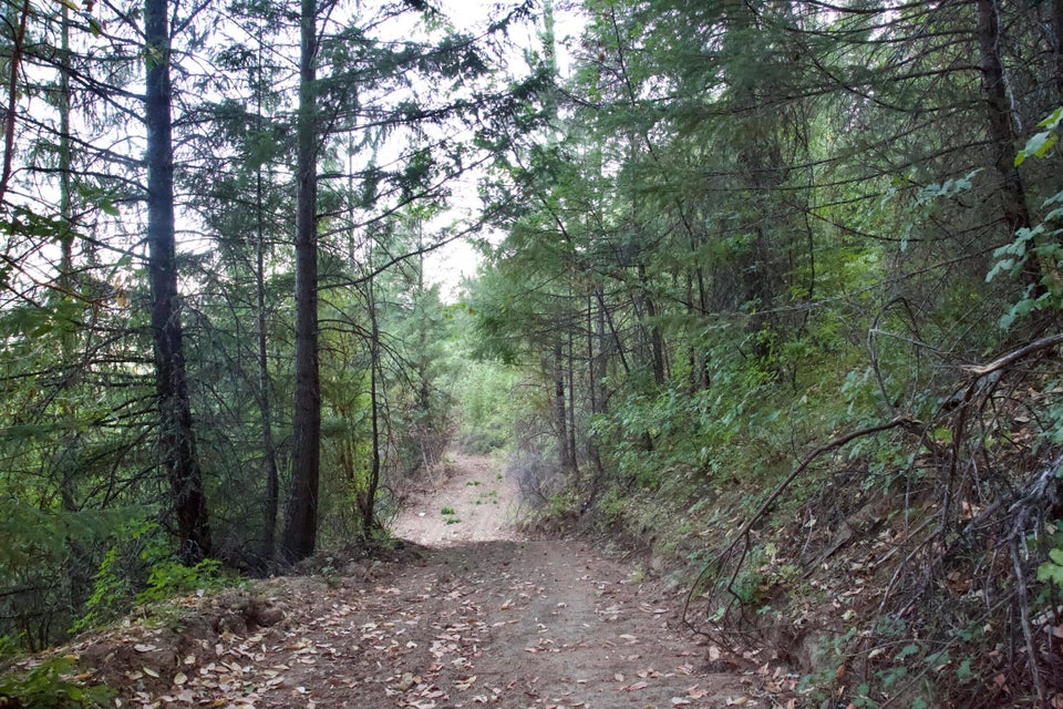 Listing Image 26