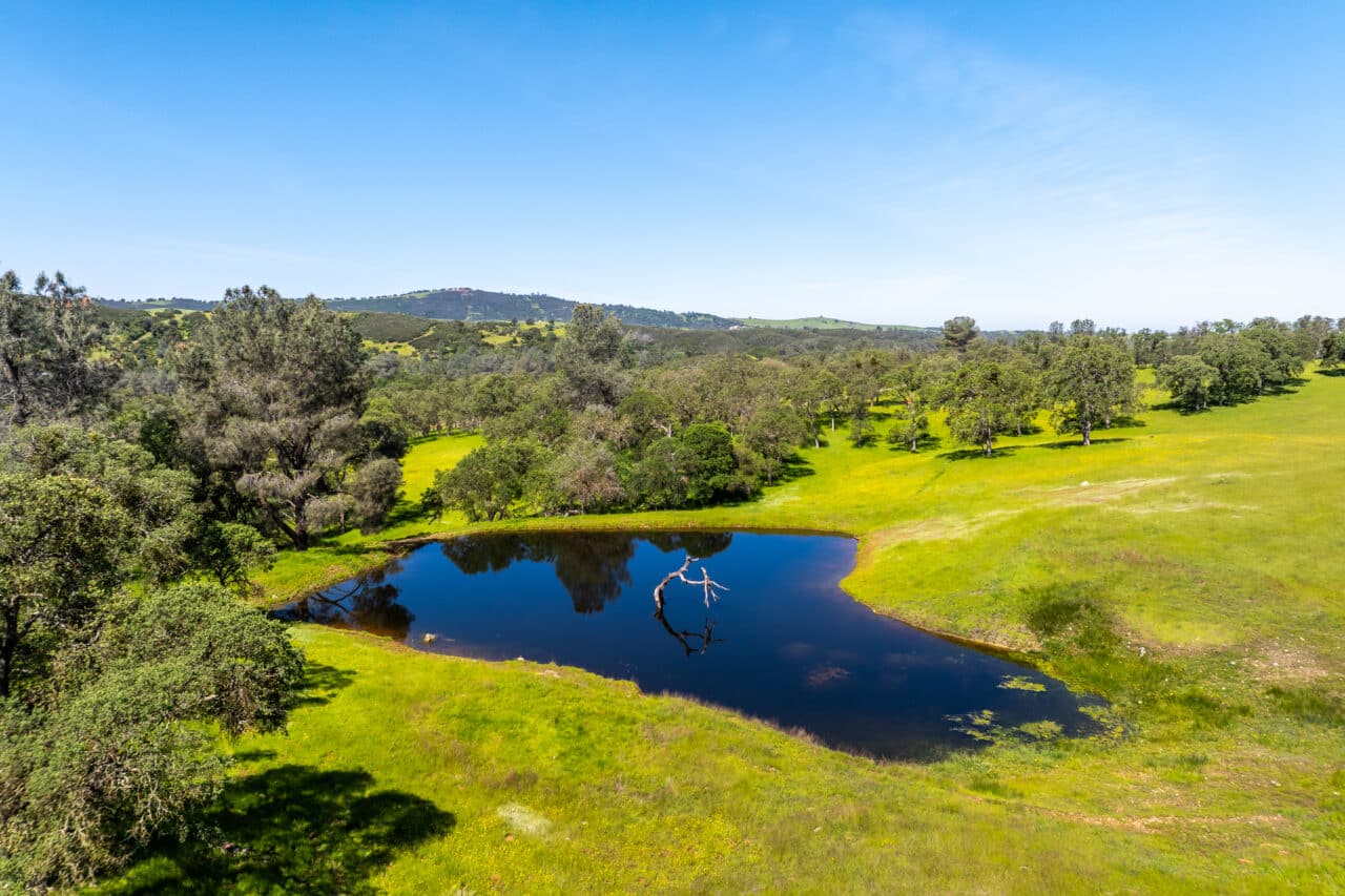 The Gann Ranch