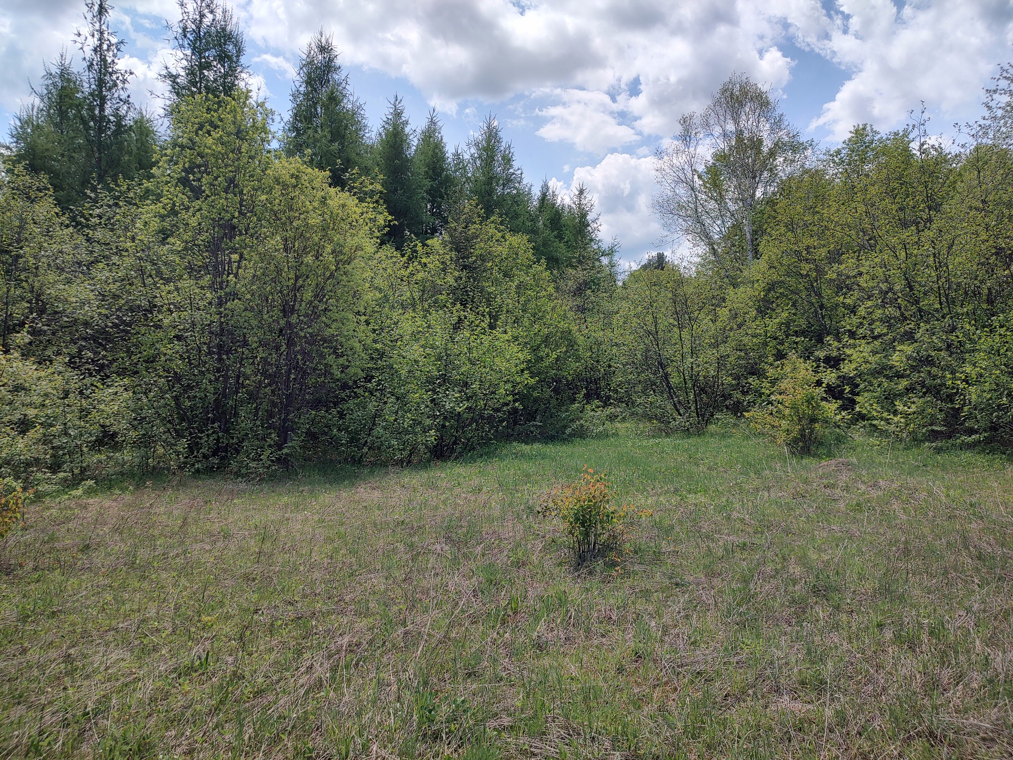 160 Acre Wilderness Retreat 50175391