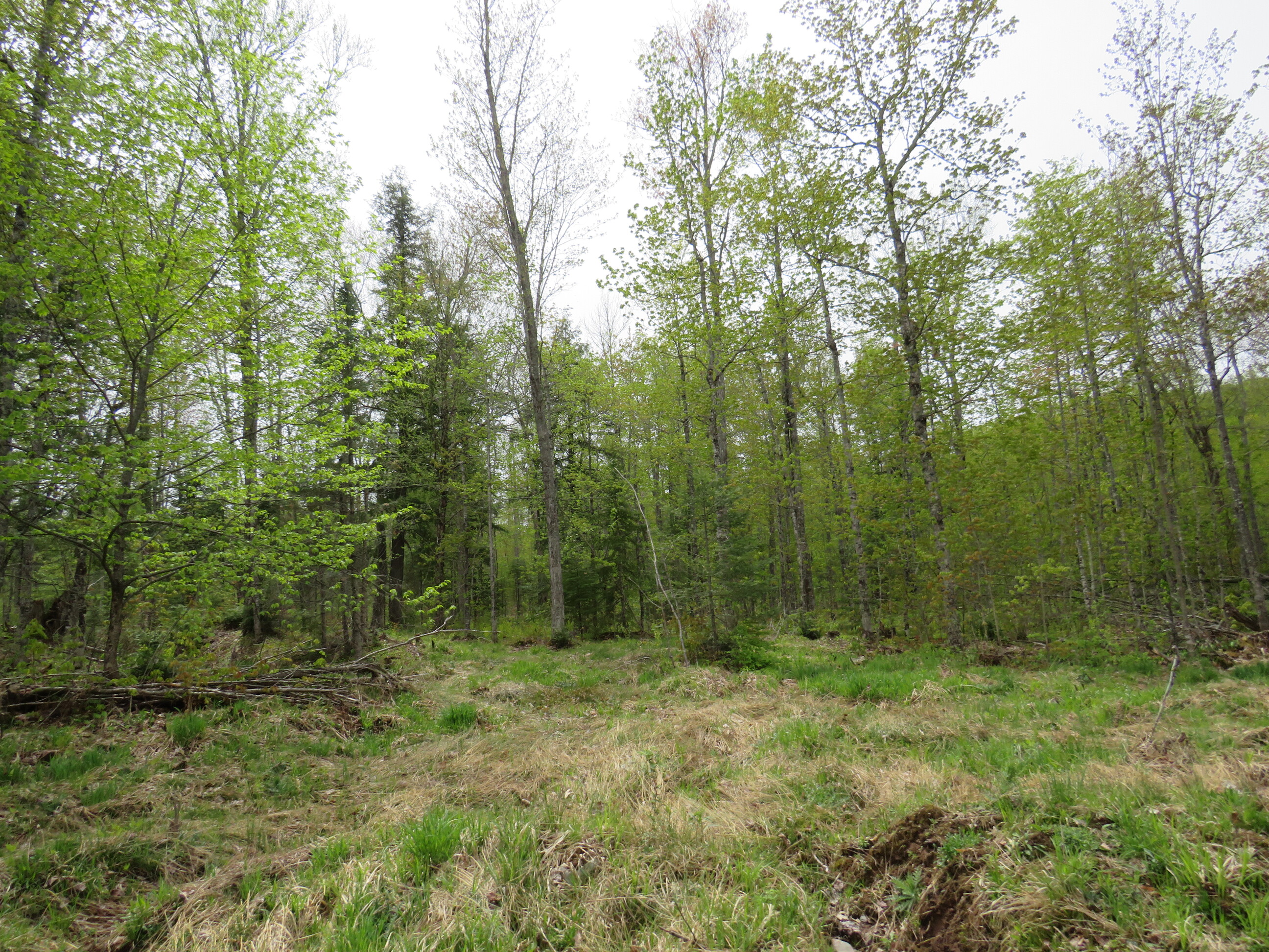 Michigan Recreational Property 50165363