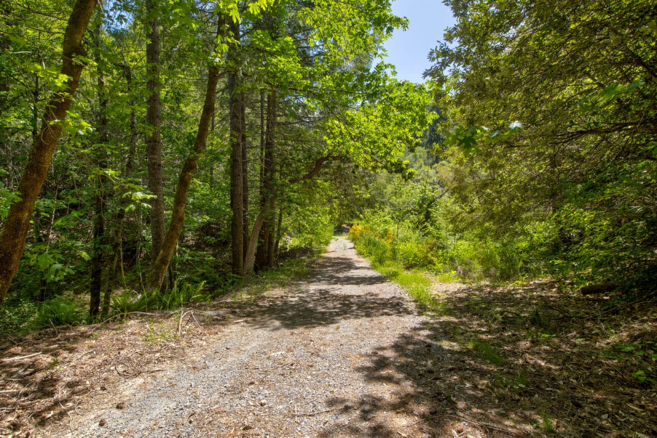Otter Creek Cabin