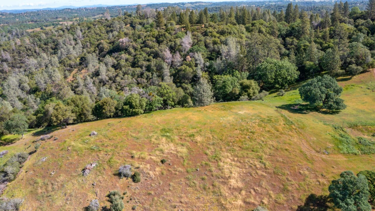 Trembath Mountain Vista