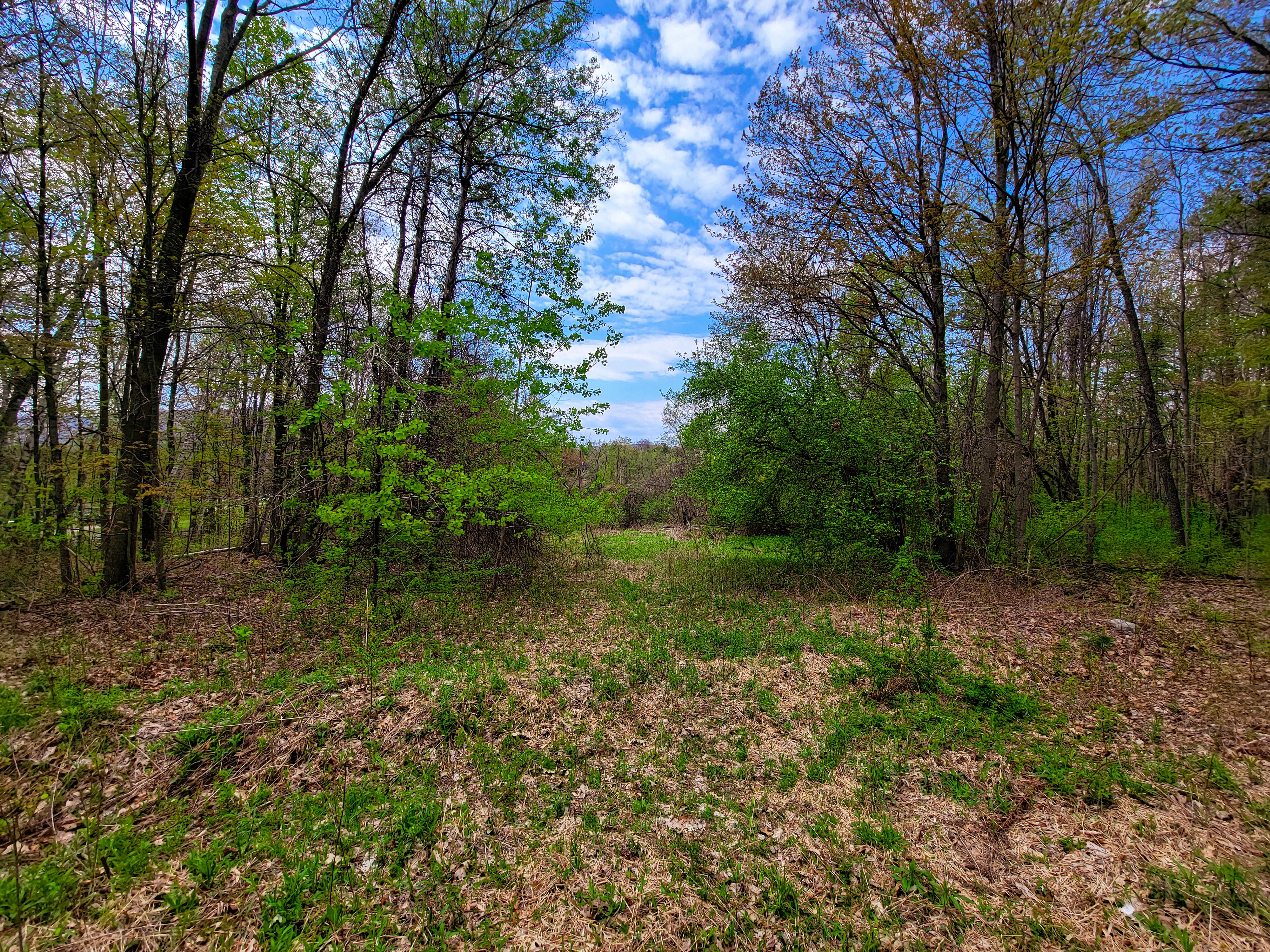 Listing Image 34