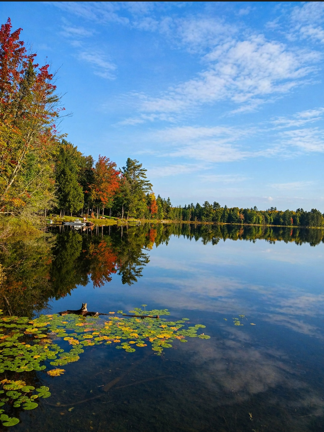 U.P. Robinson Lake Parcel 50167828