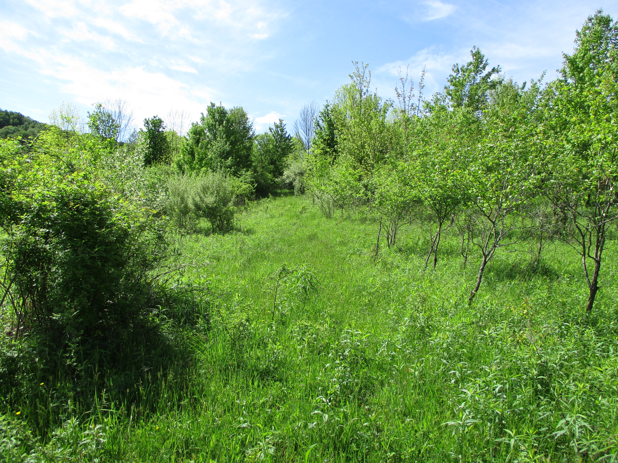 Long View Acres