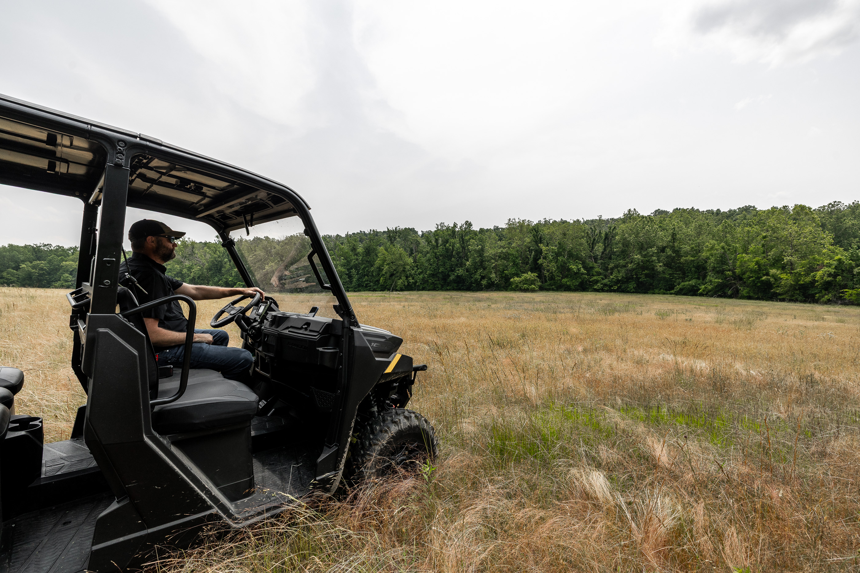 Bucks and beards 335