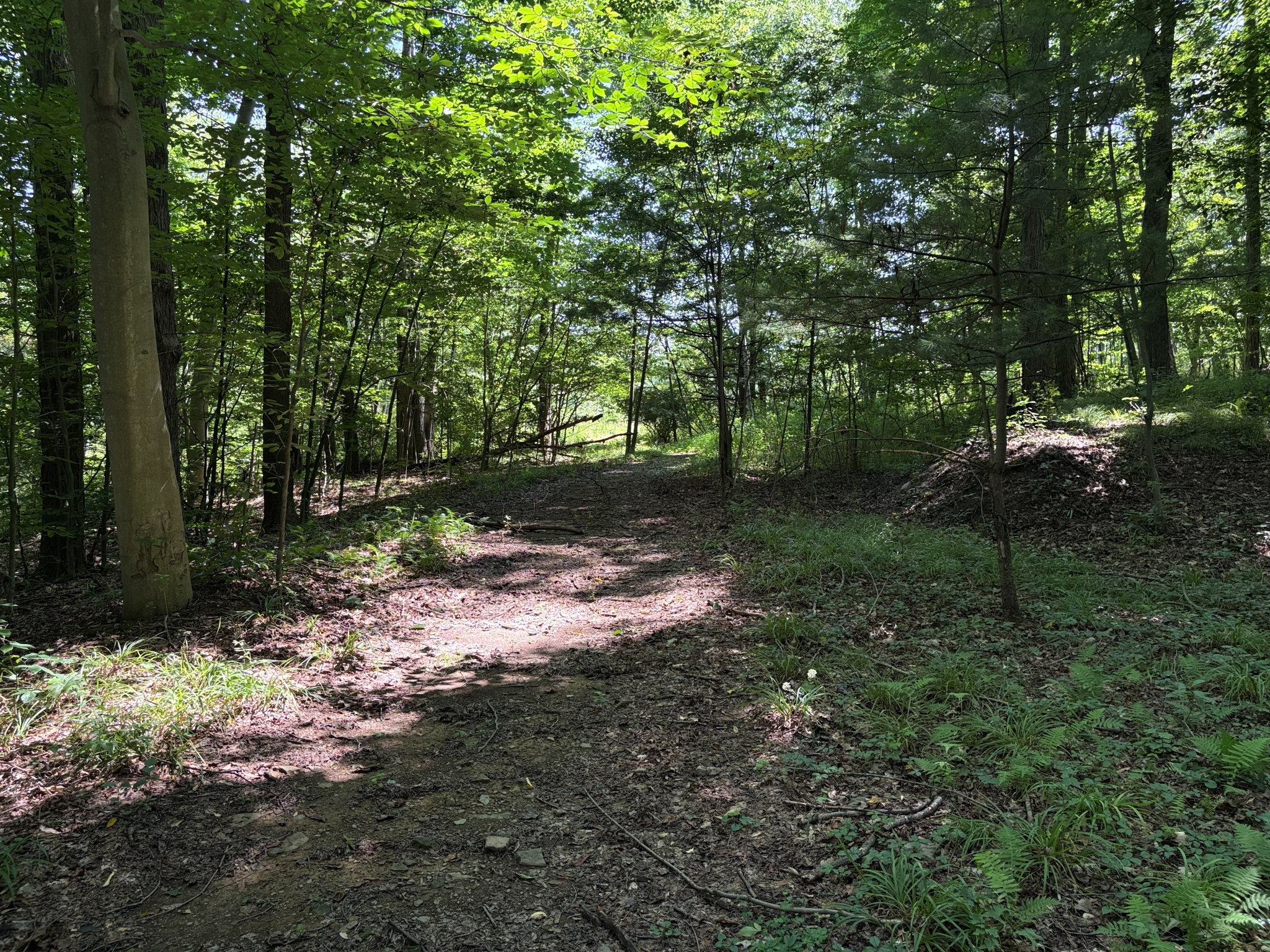 Listing Image 27