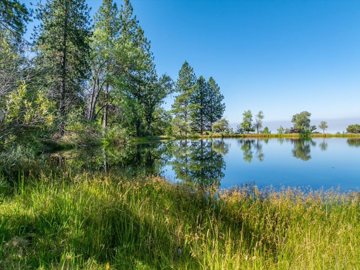 Alger Vineyards and More