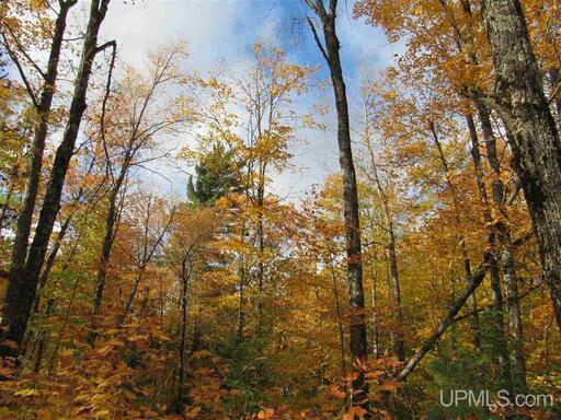 Michigan Private Lake Lot  50178194