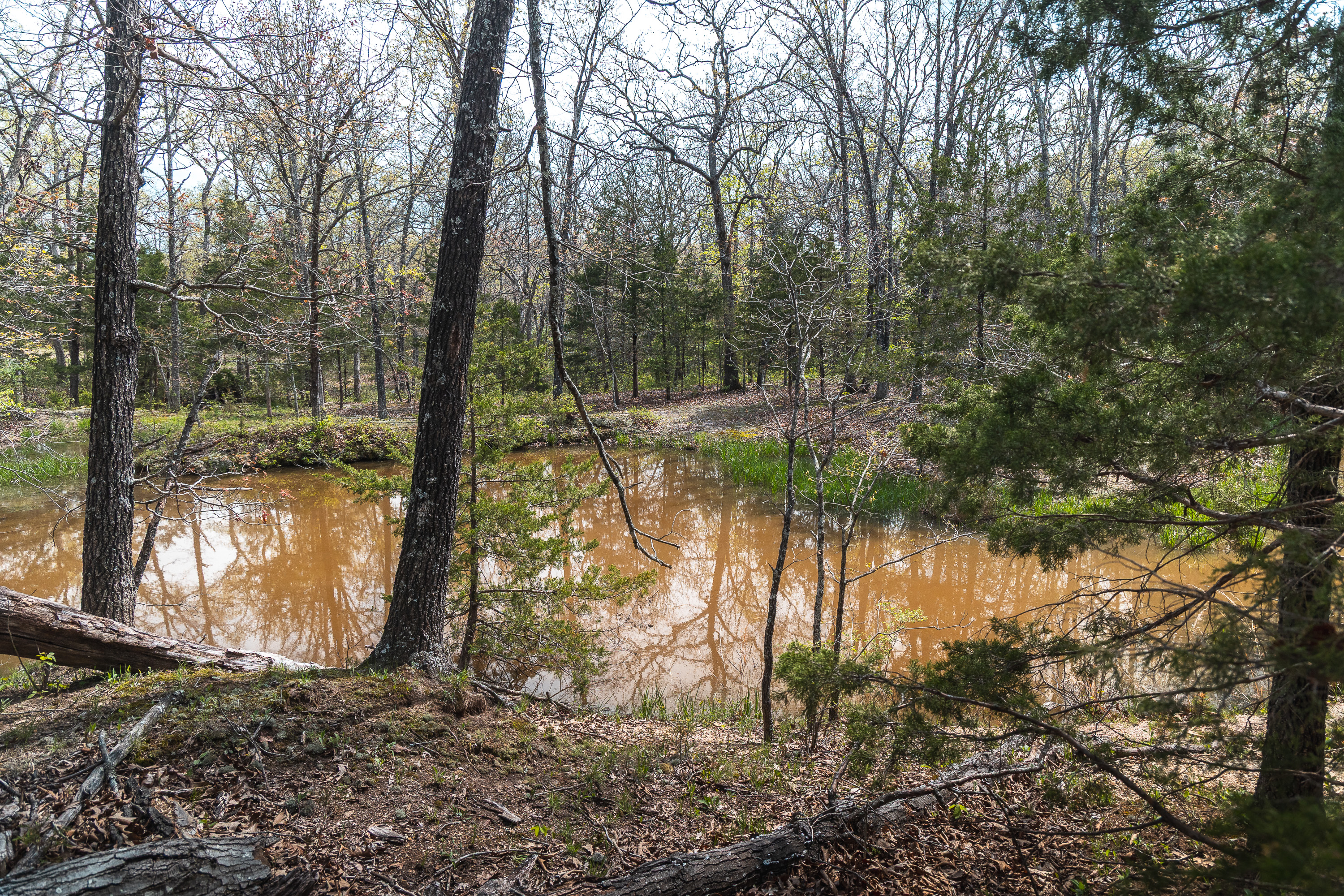 Owensville Buck Nest