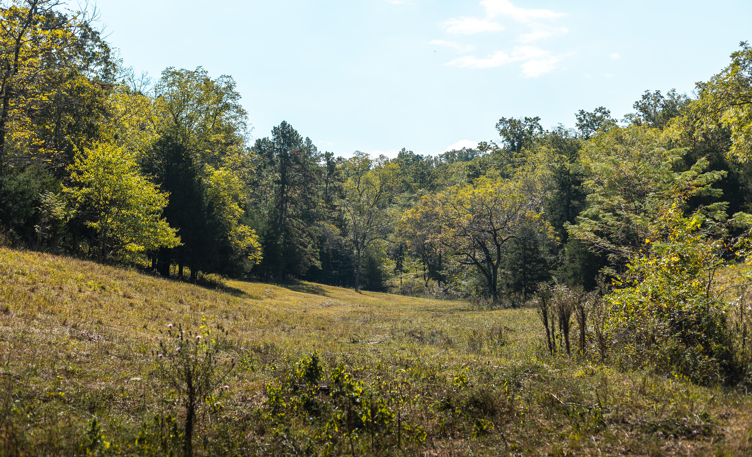 Ashley Creek Ranch 329