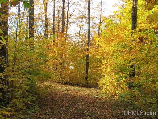 Michigan Private Lake Lot  50178194