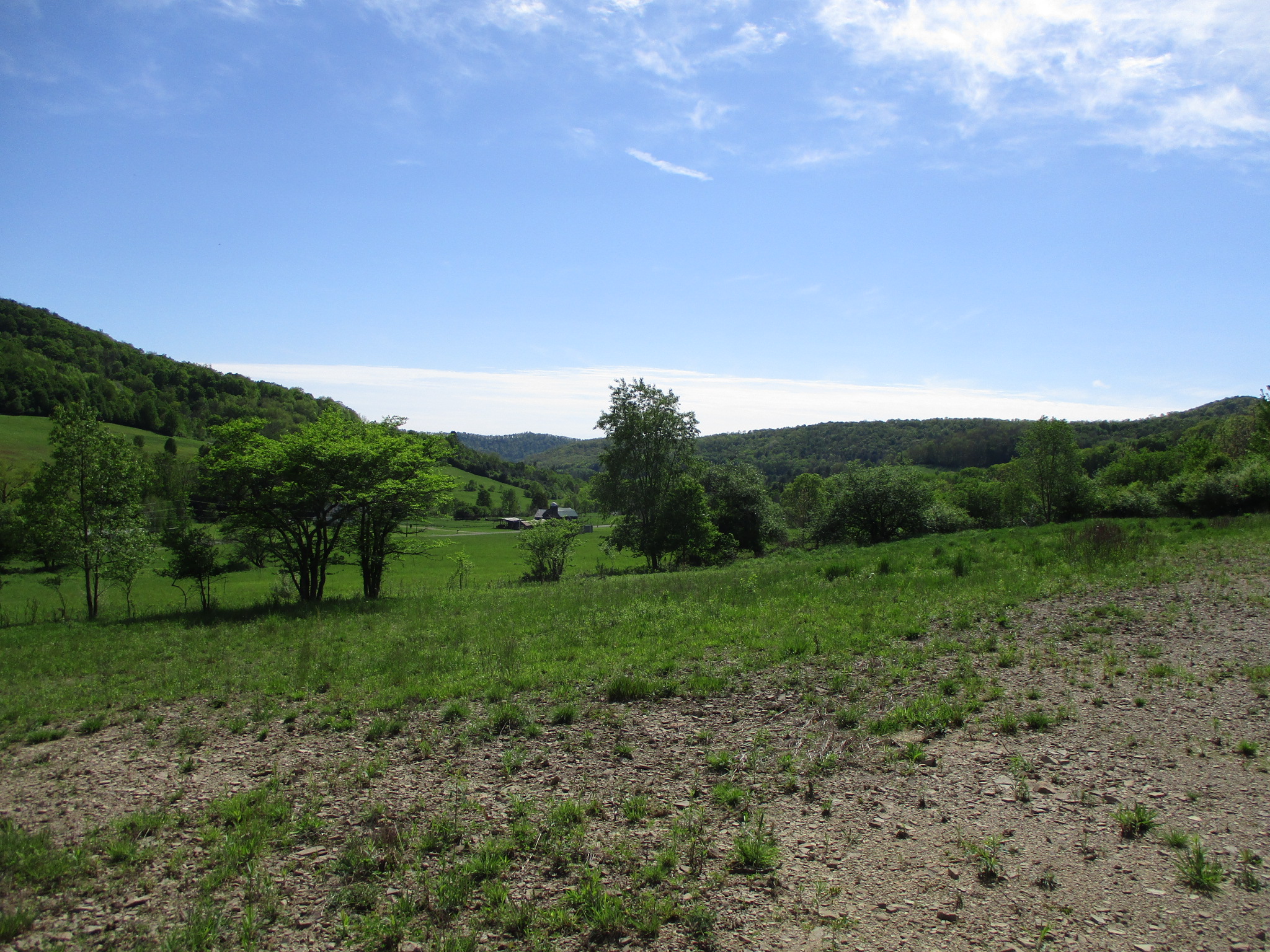 Long View Acres