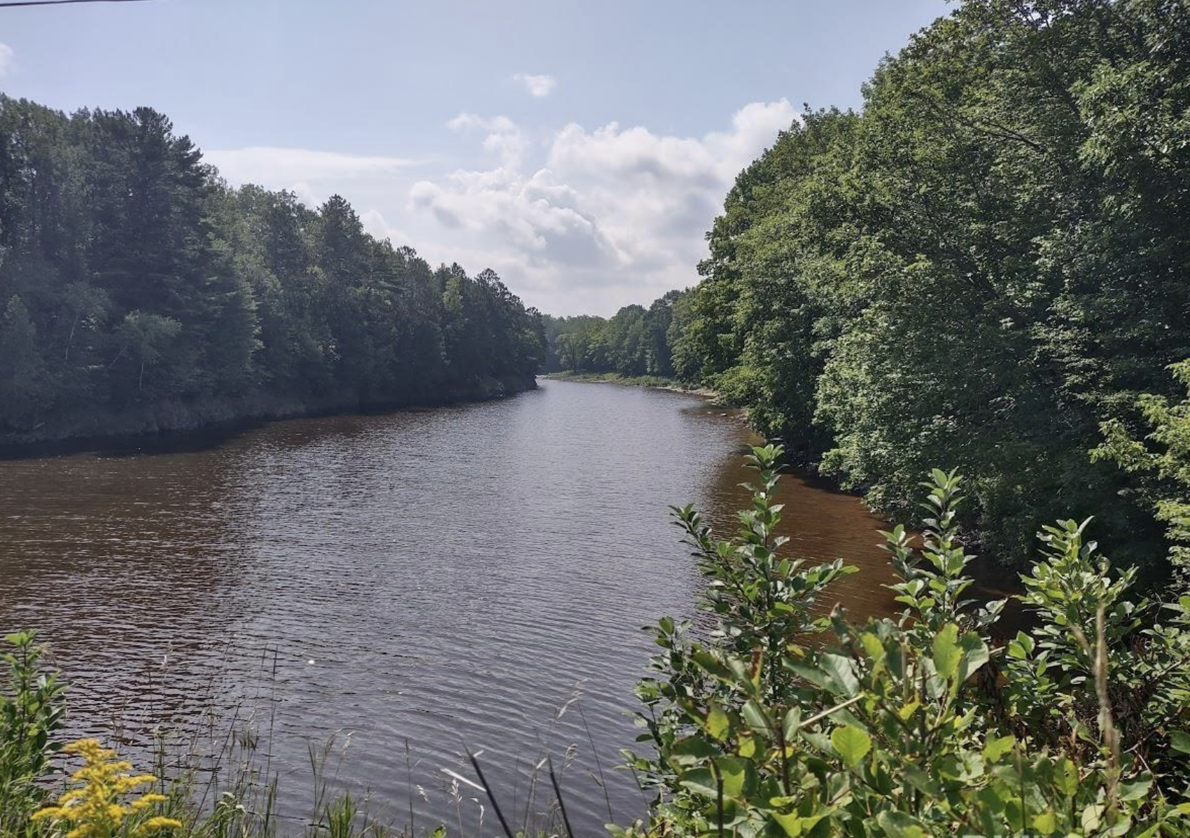 Riverfront with Superior Access 50187997