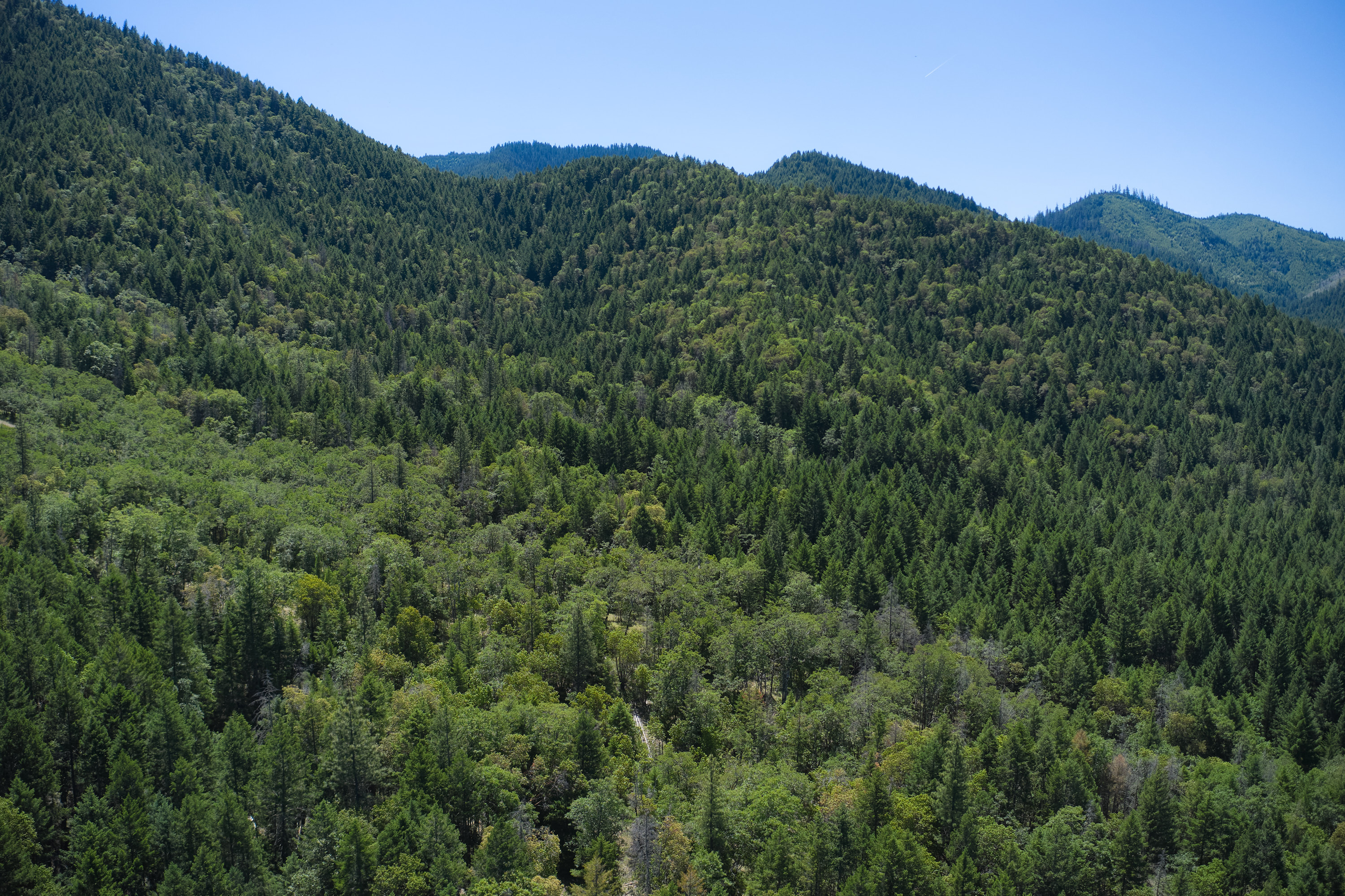 Listing Image 55