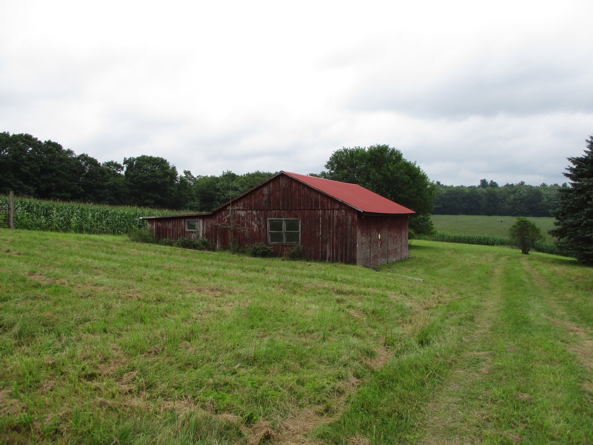 Listing Image 29