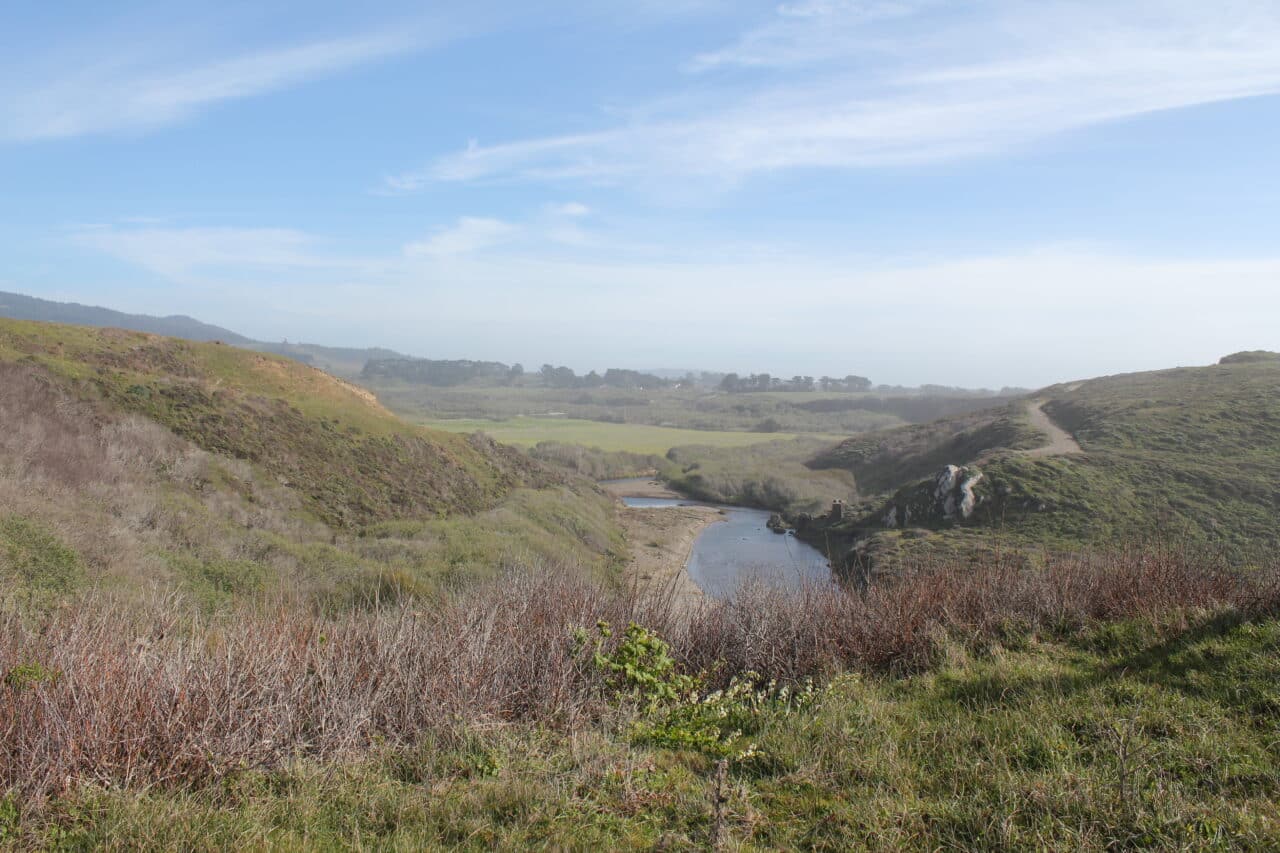 Listing Image 53