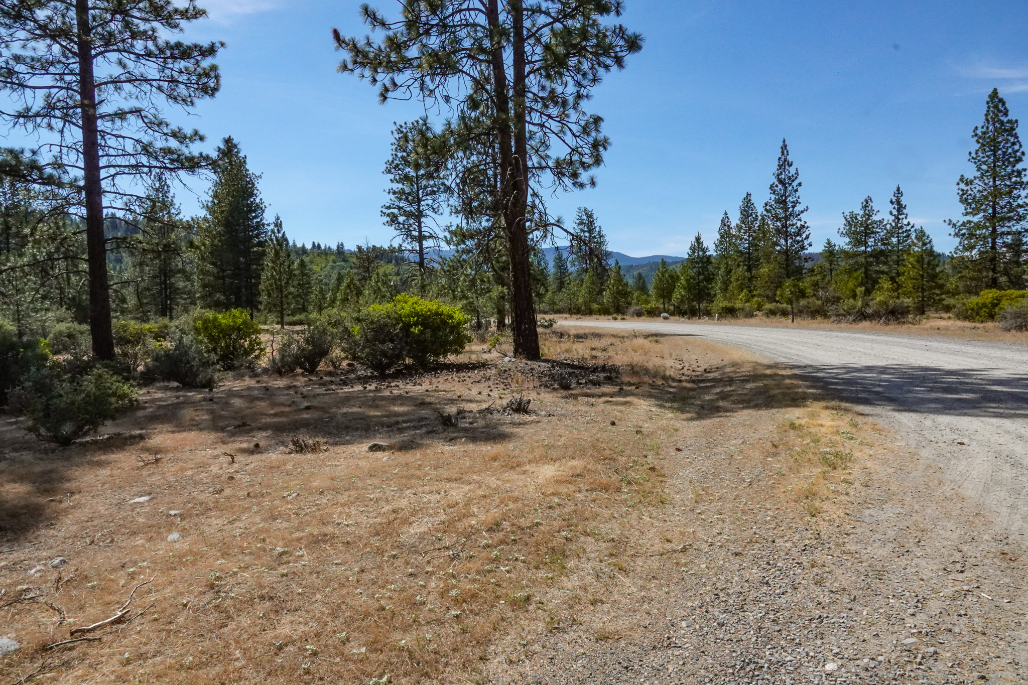 Listing Image 51