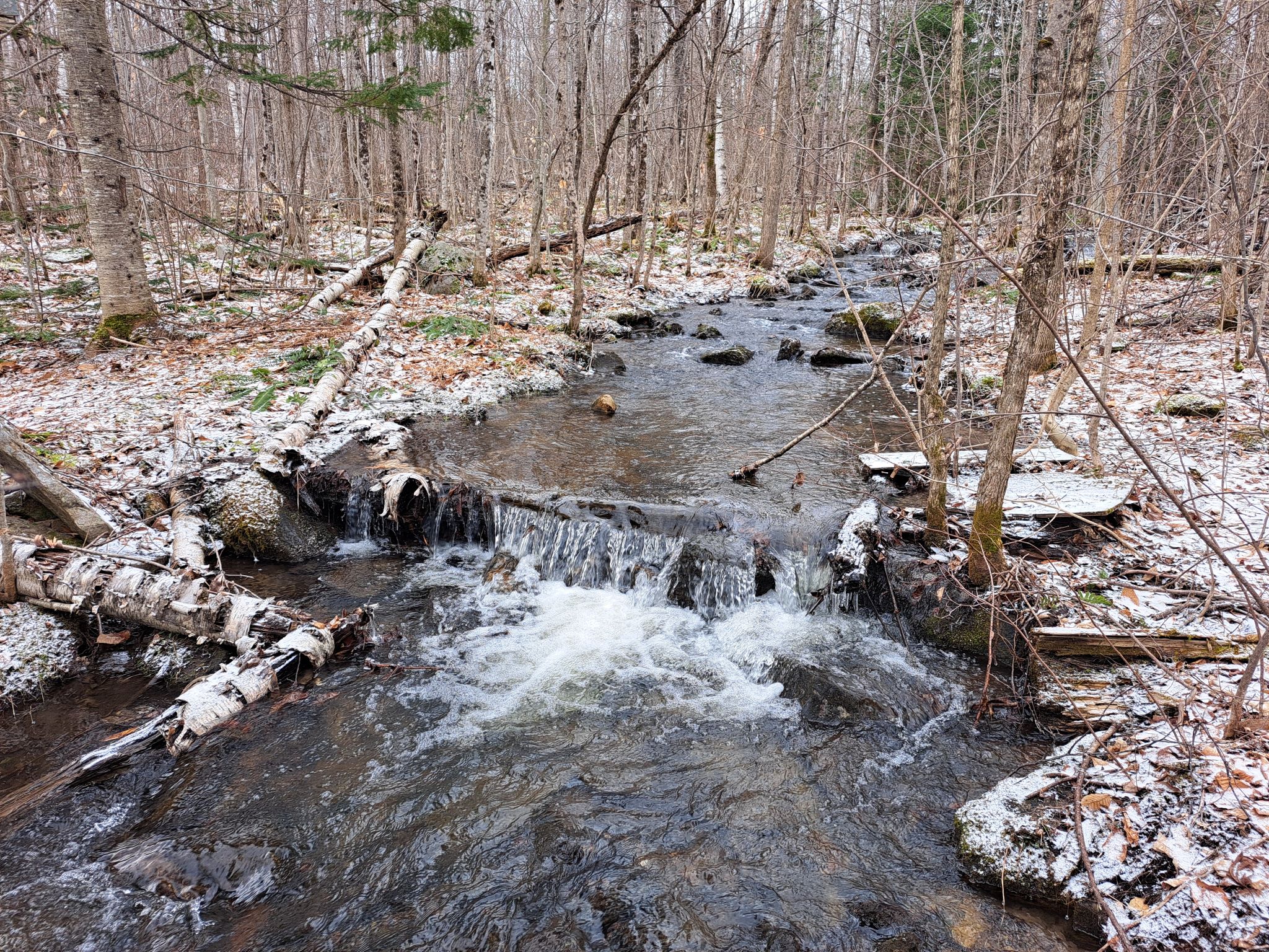 Listing Image 31