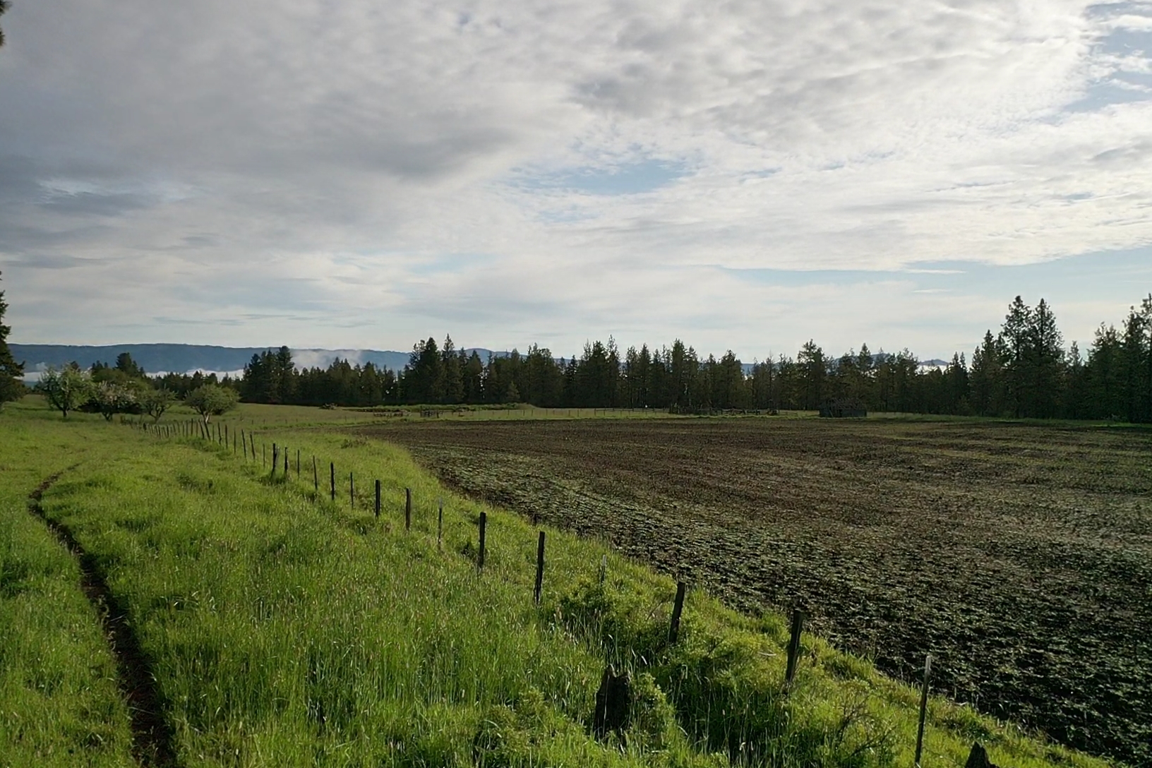 Buford Ridge Ranch