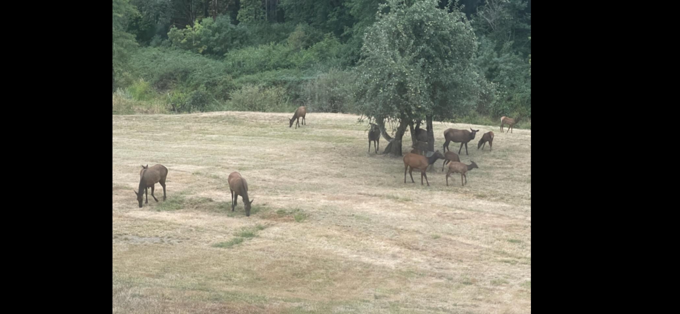 Kielblock Ranch