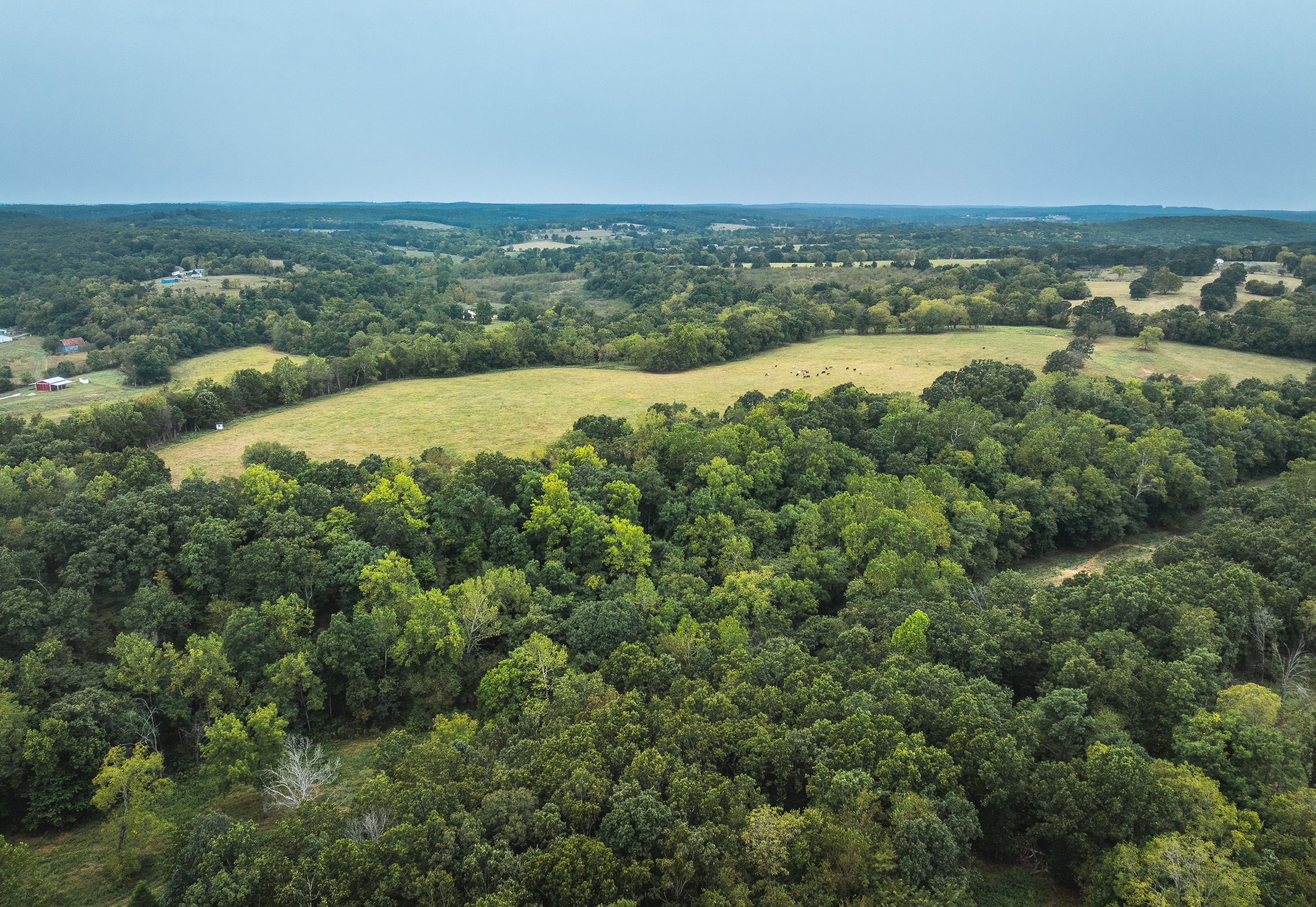 Twin Creek Farm