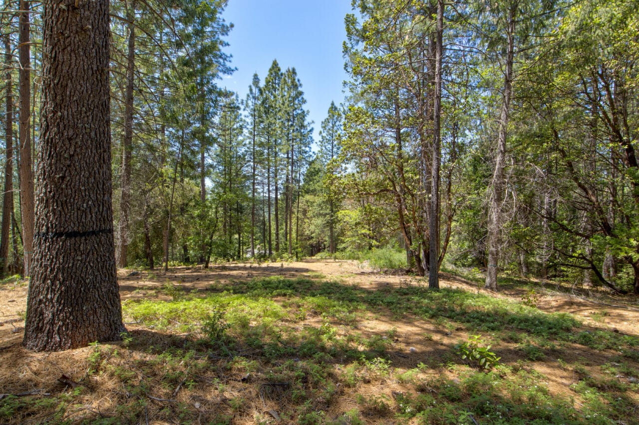 Otter Creek Cabin