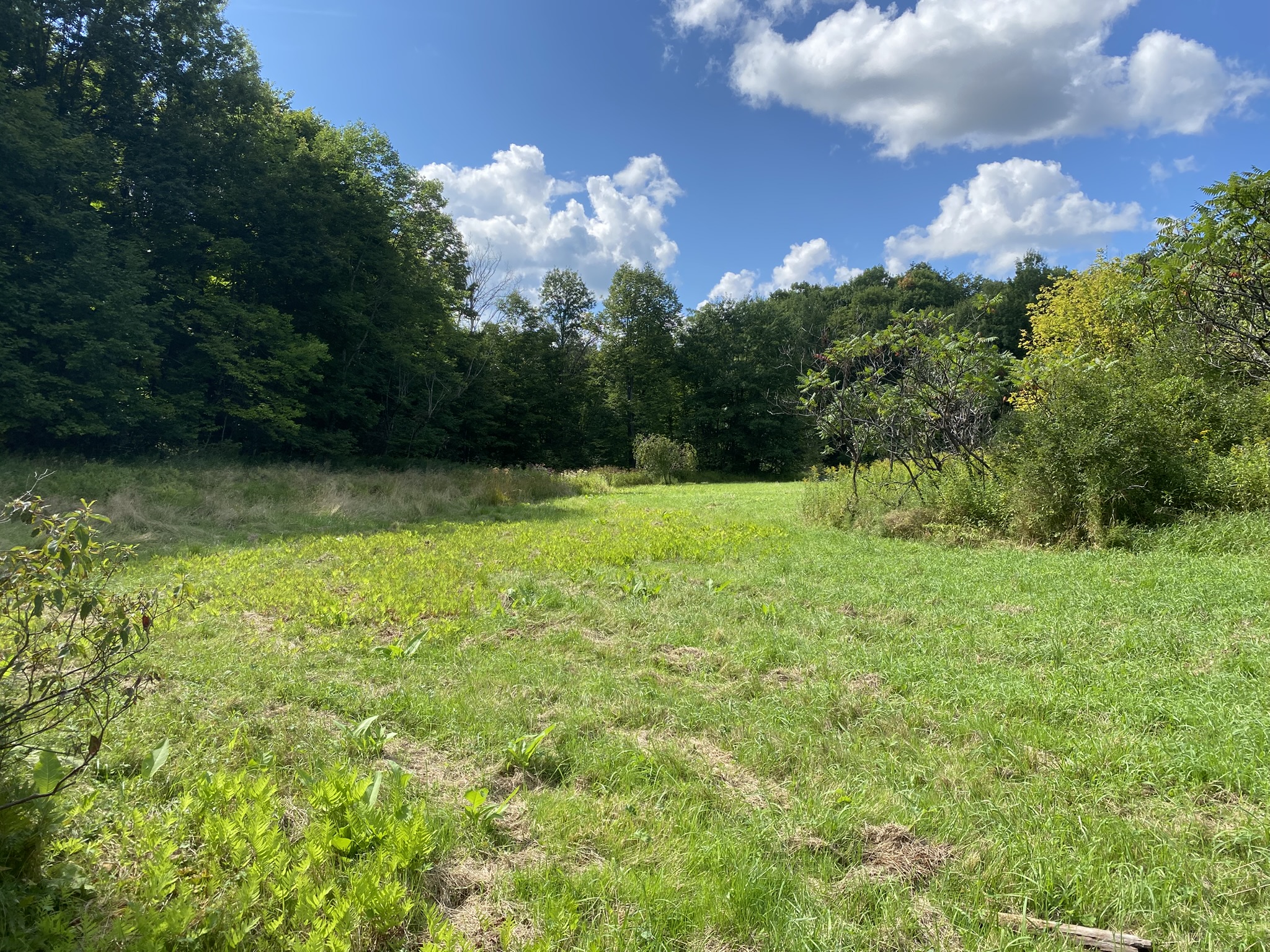 Listing Image 53