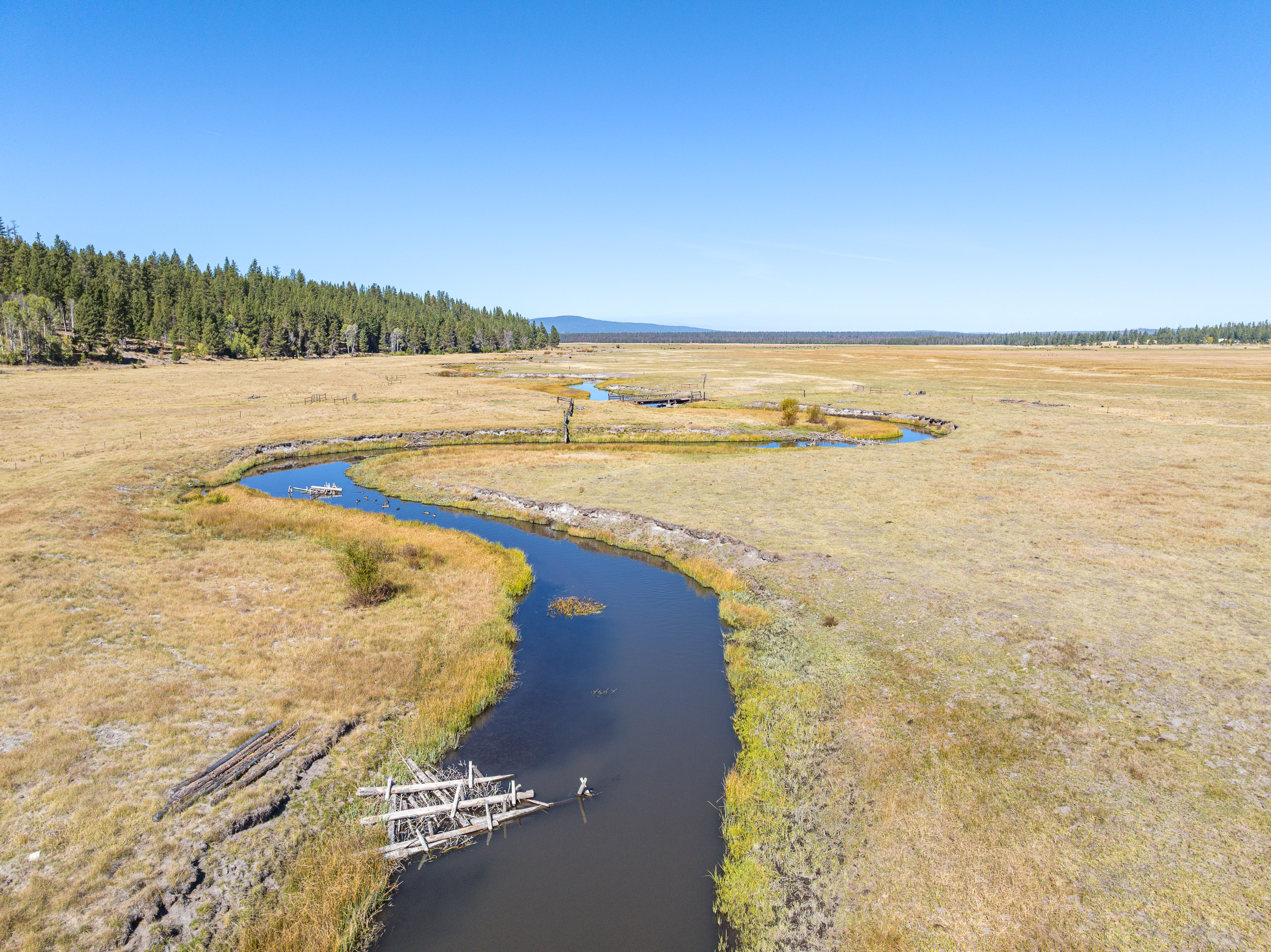 Listing Image 45