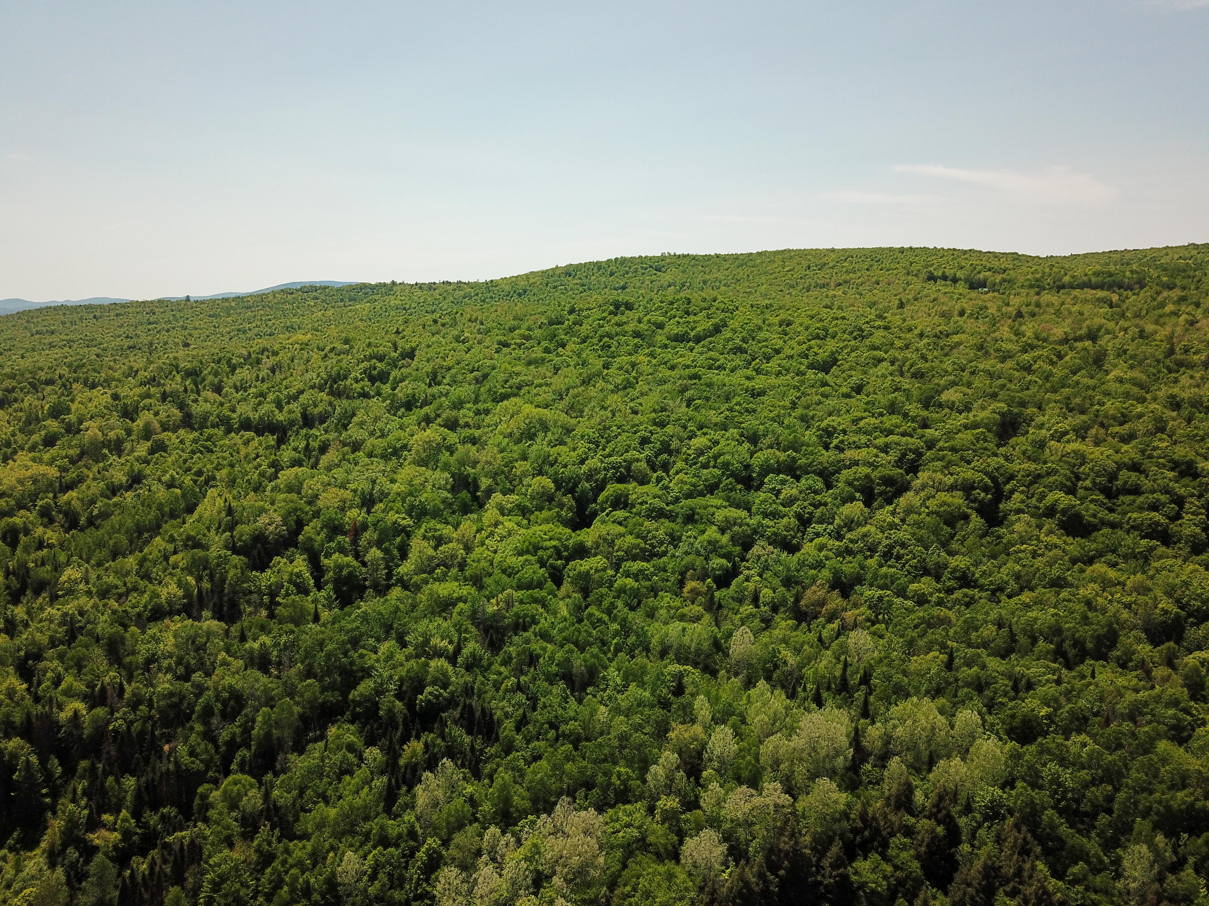 150 Spur Rd - Bloomfield