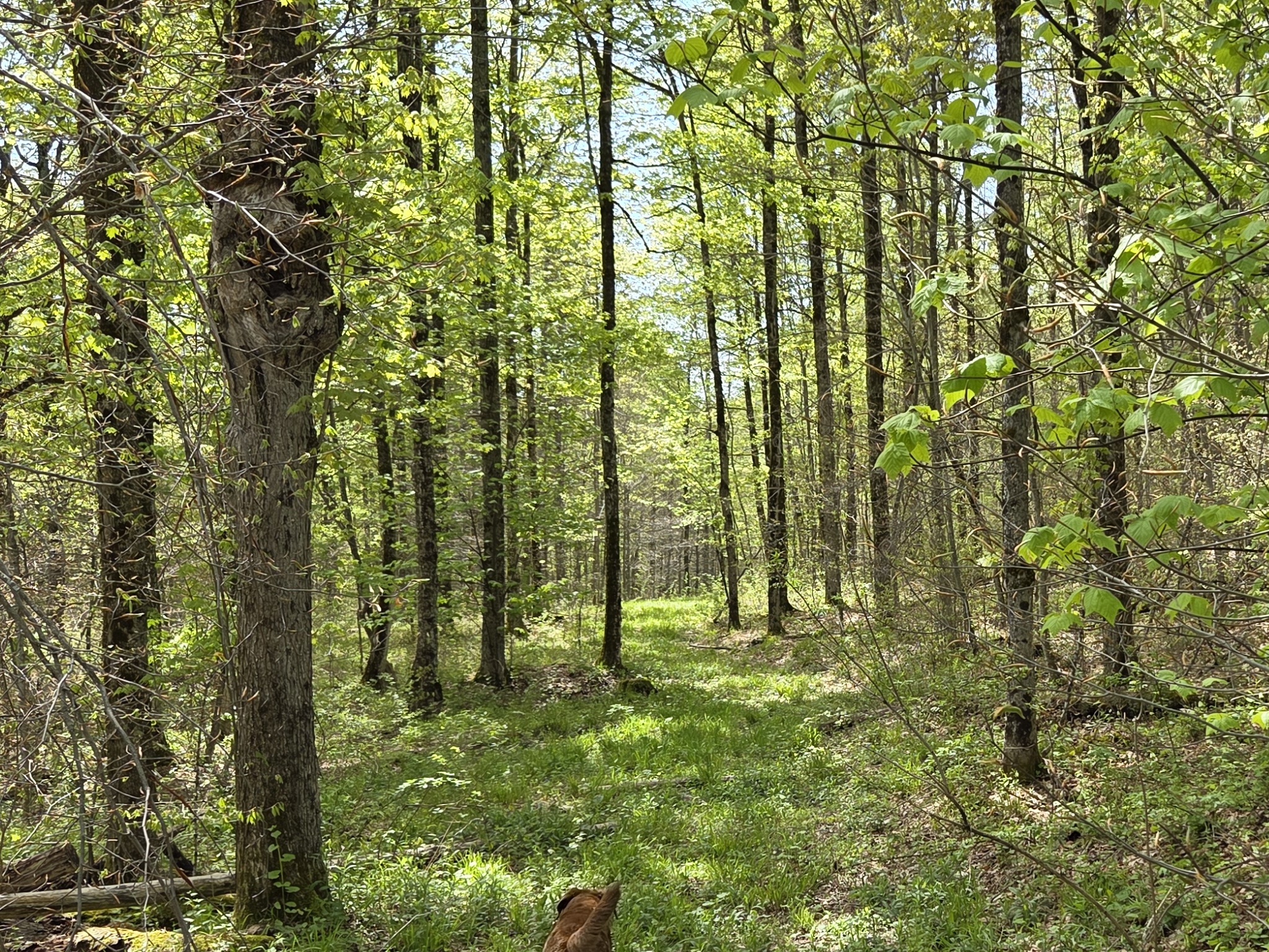 Listing Image 36