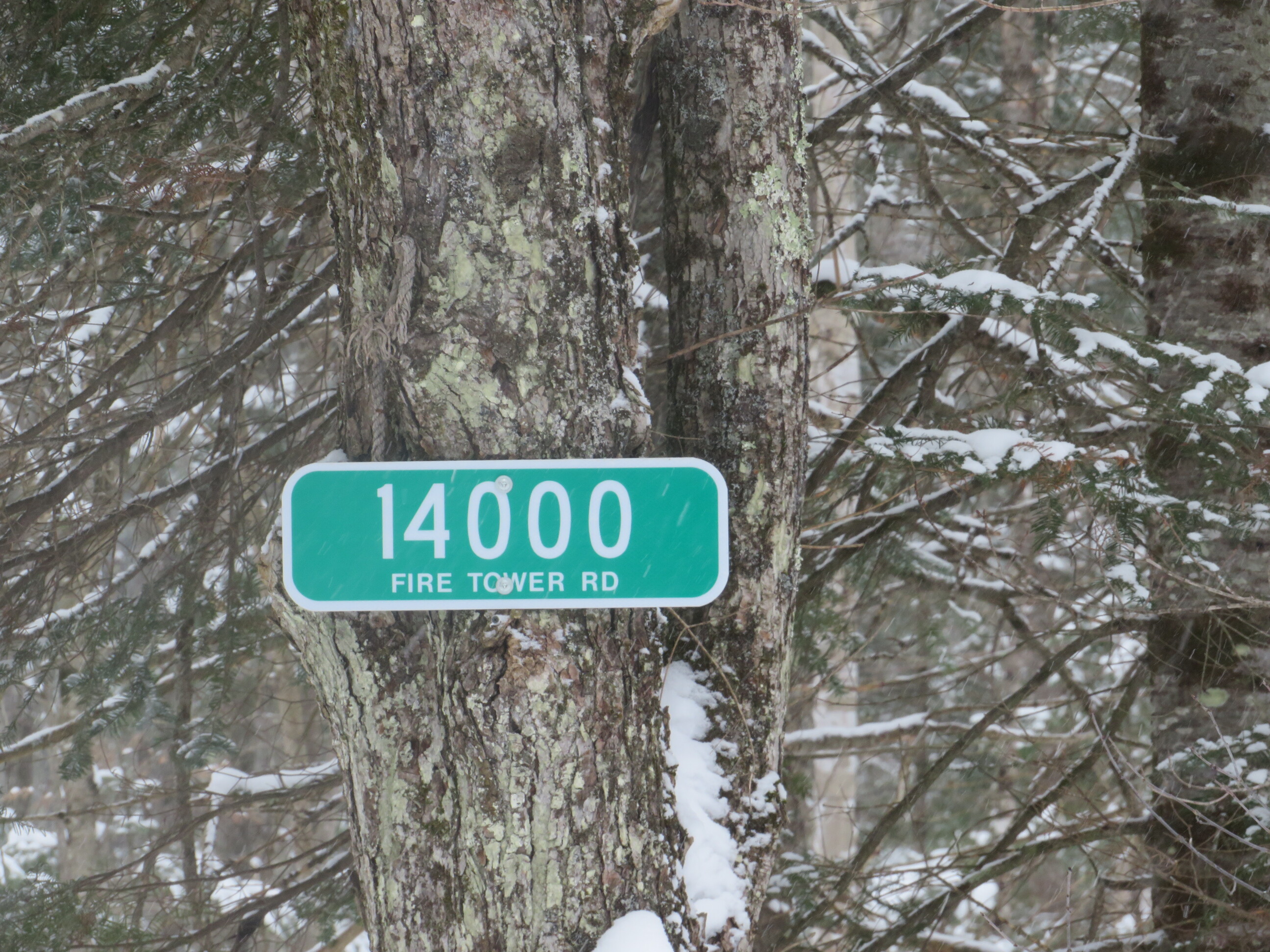 Michigan Recreational Property 50165363
