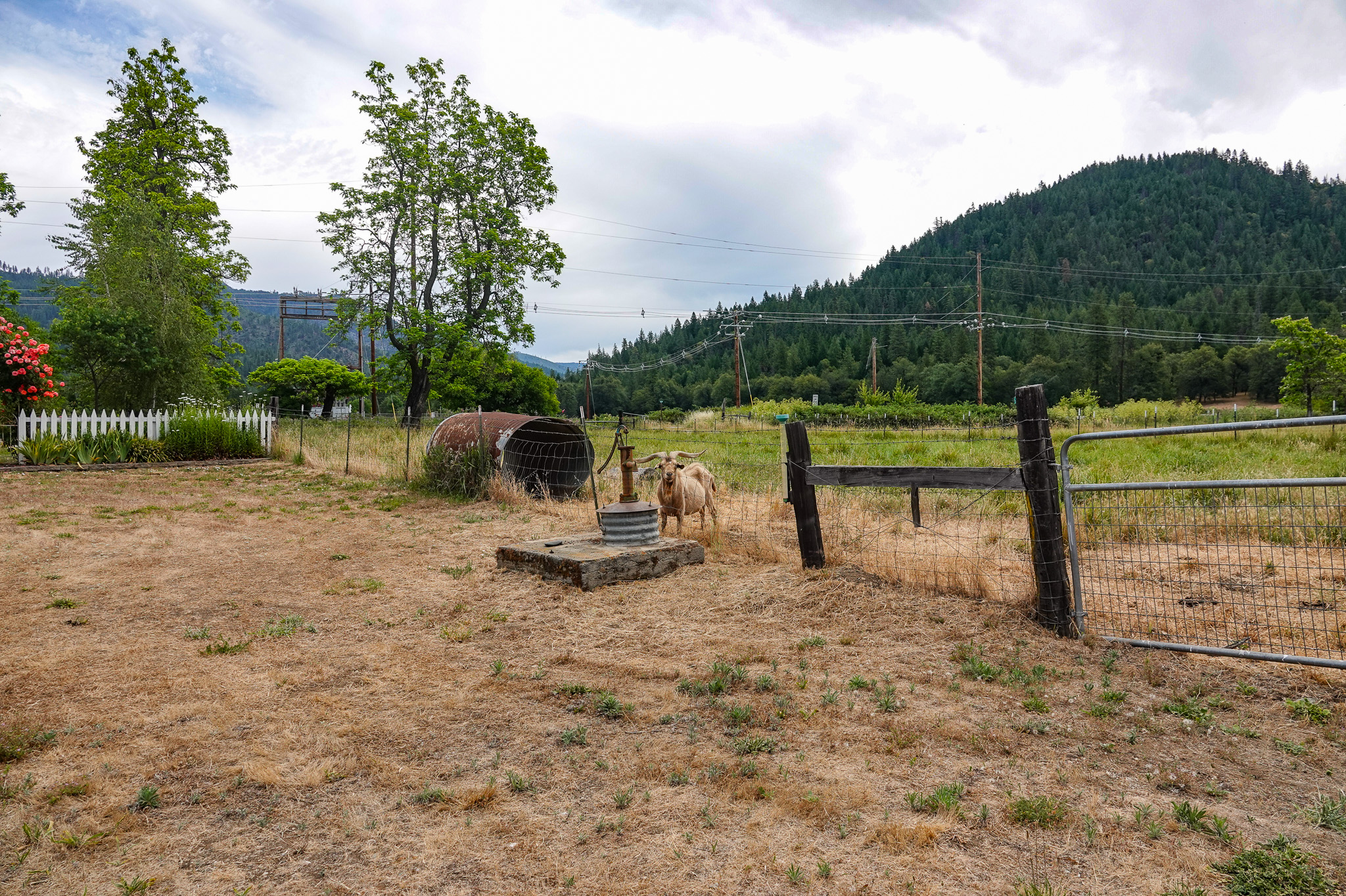 Listing Image 66