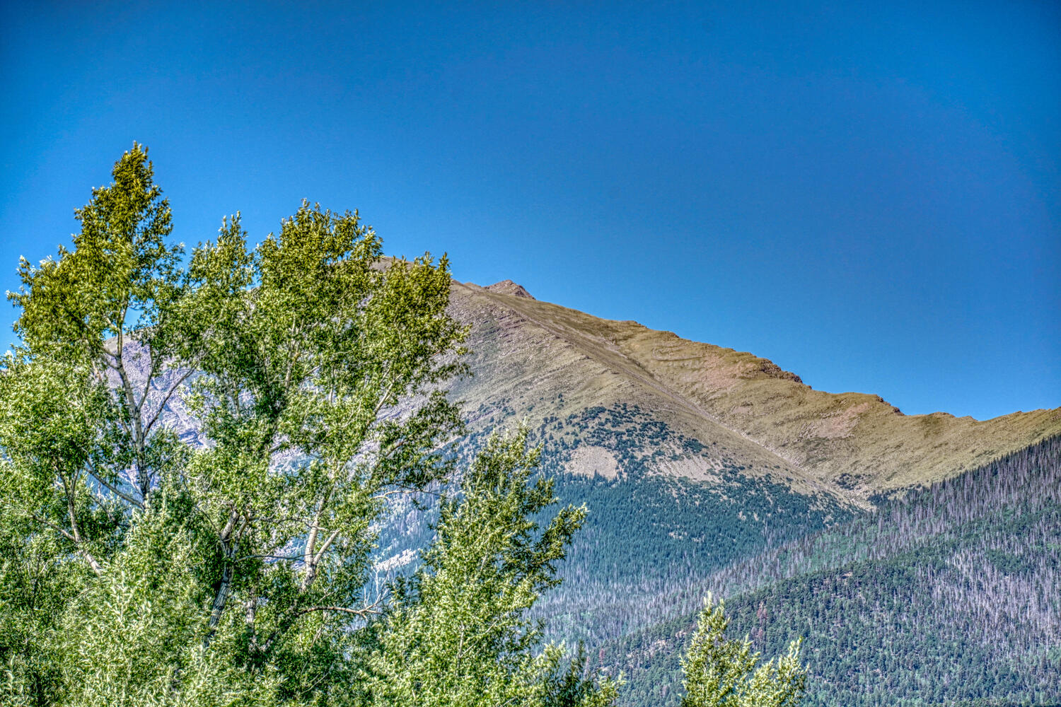 The historic Kelling homestead ranch.