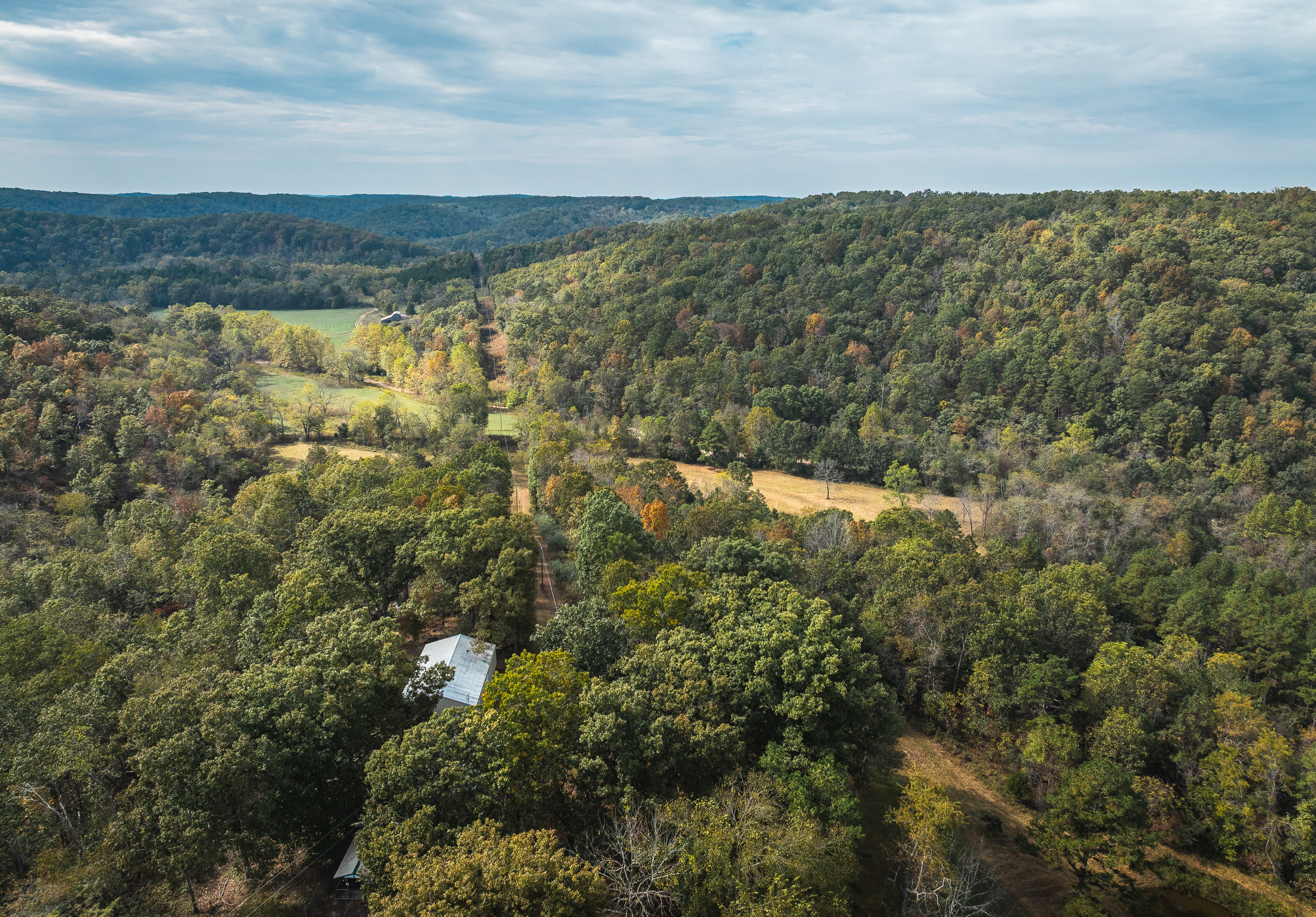 Little Gladden Creek Hunter