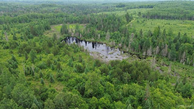 Pure Seclusion River Frontage 50181073