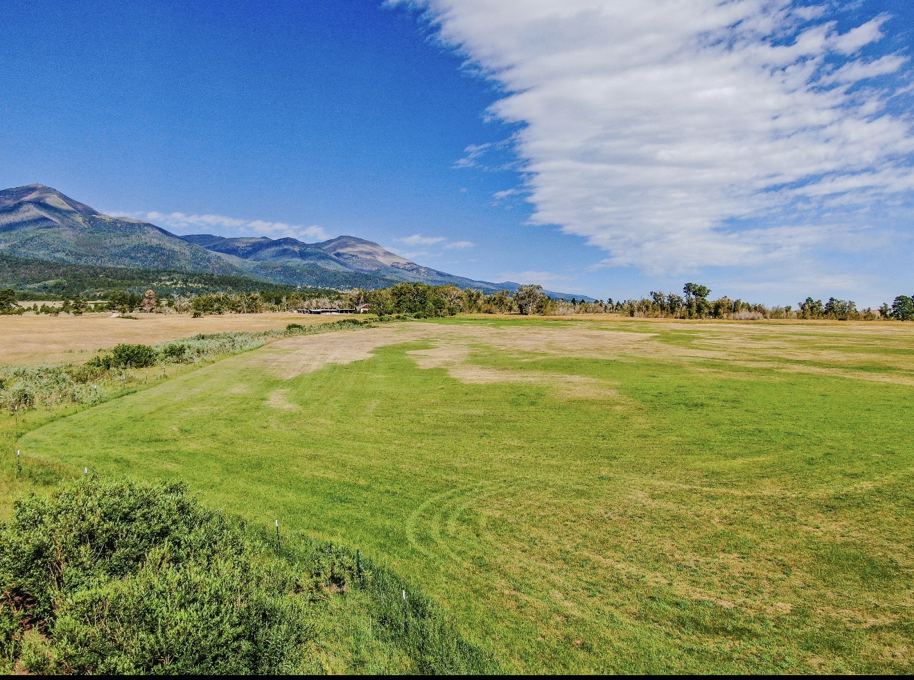 1290 Hill Country Road