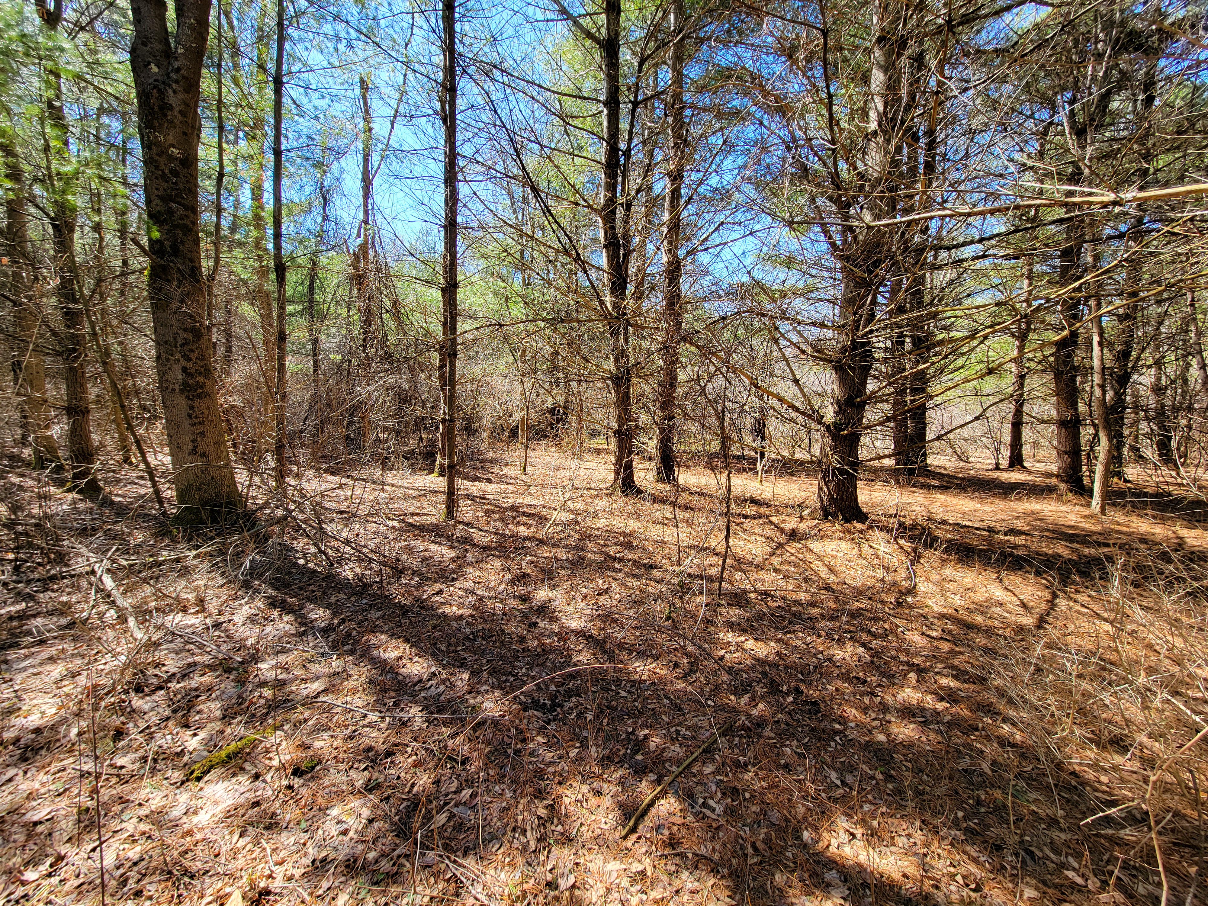 Listing Image 37